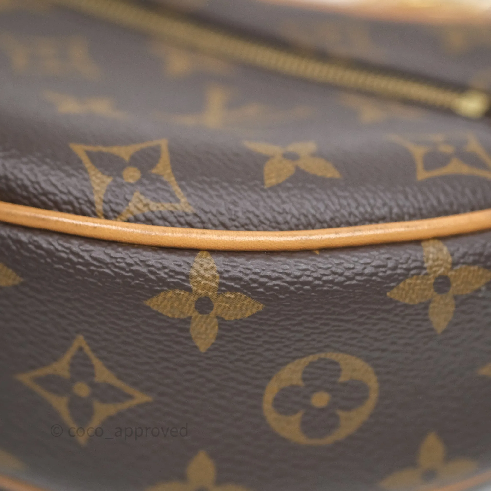 Louis Vuitton Loop Monogram Canvas
