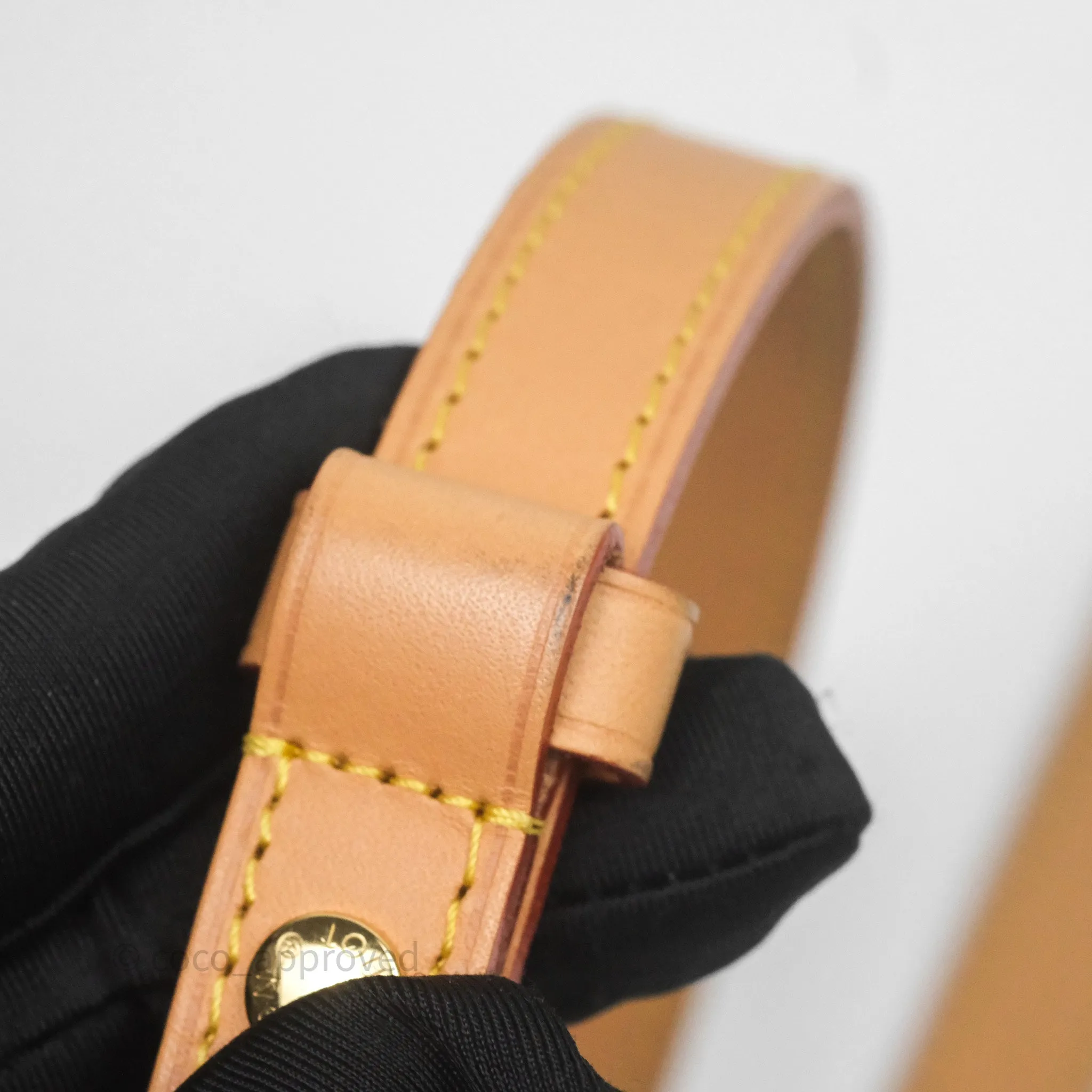 Louis Vuitton Loop Monogram Canvas