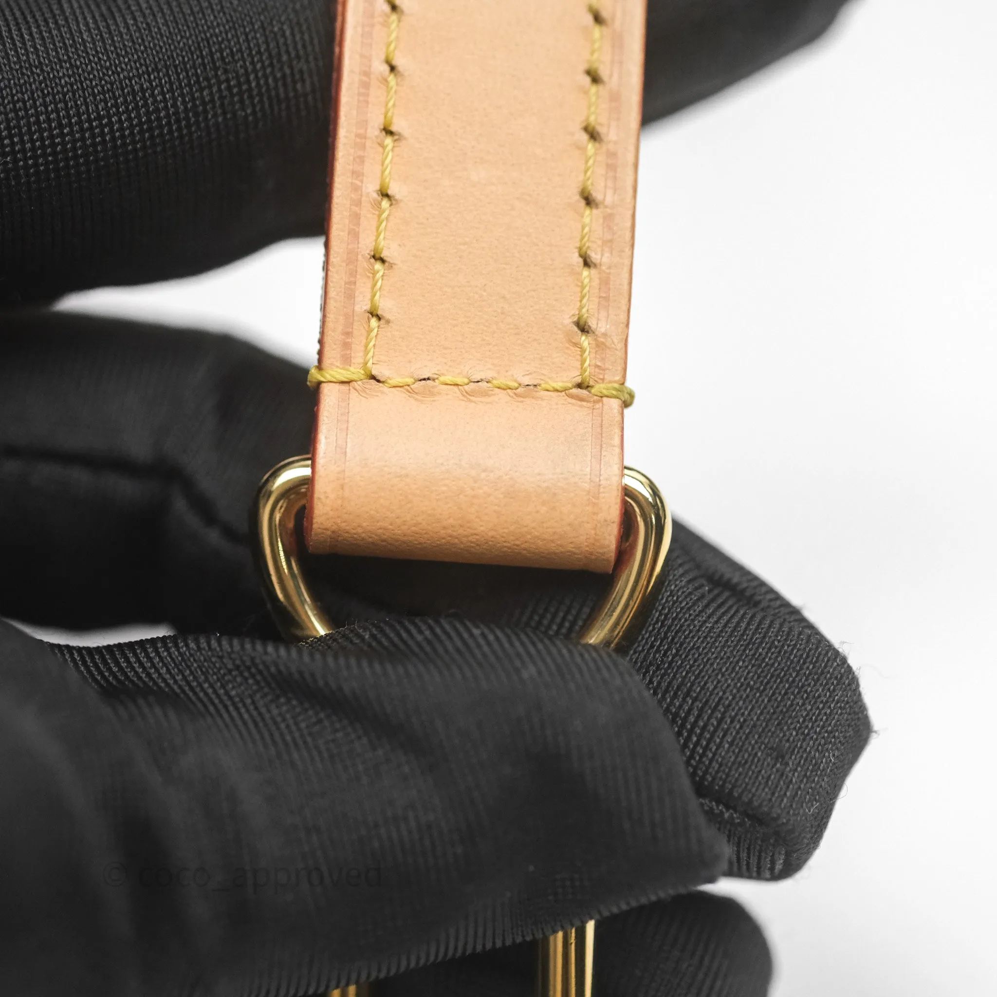 Louis Vuitton Loop Monogram Canvas