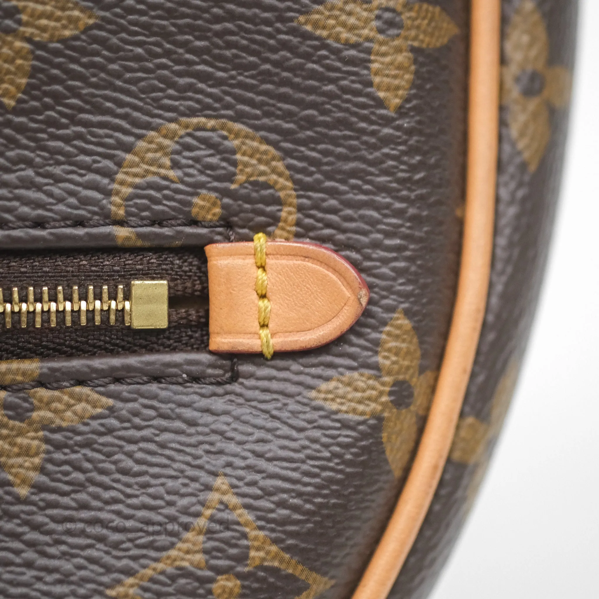 Louis Vuitton Loop Monogram Canvas