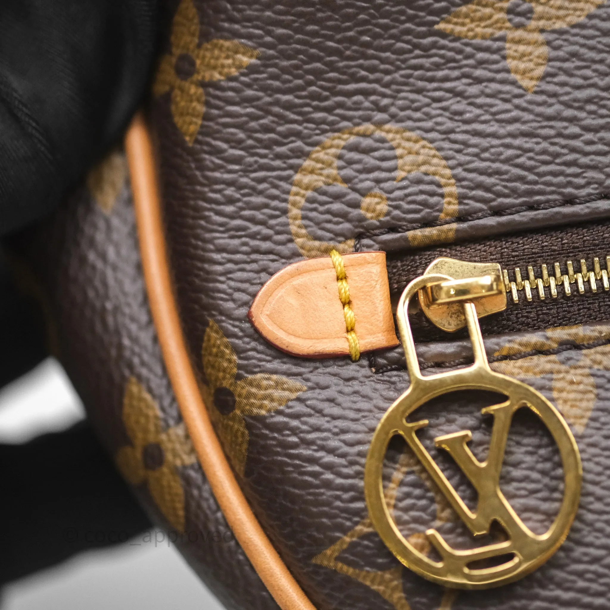 Louis Vuitton Loop Monogram Canvas