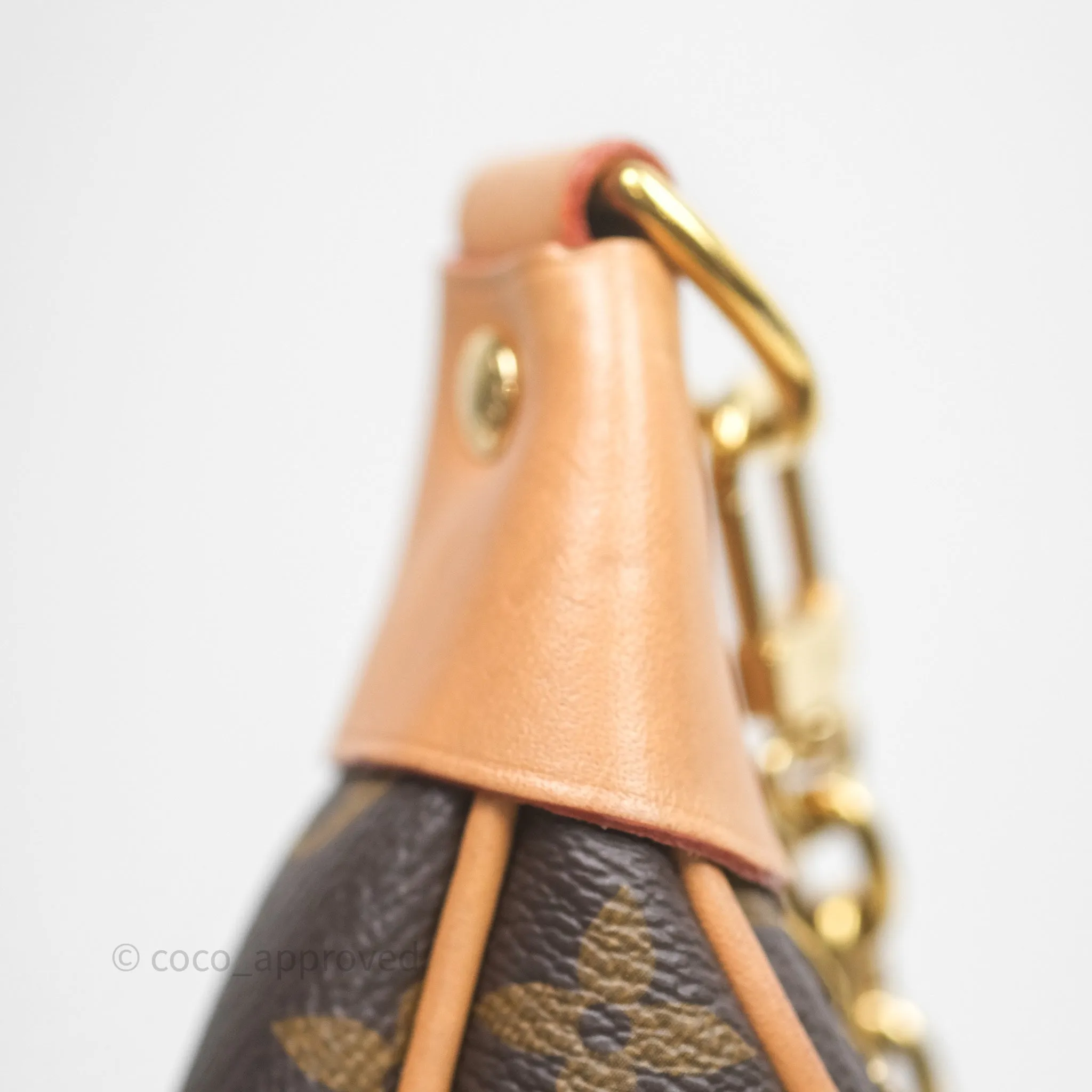 Louis Vuitton Loop Monogram Canvas