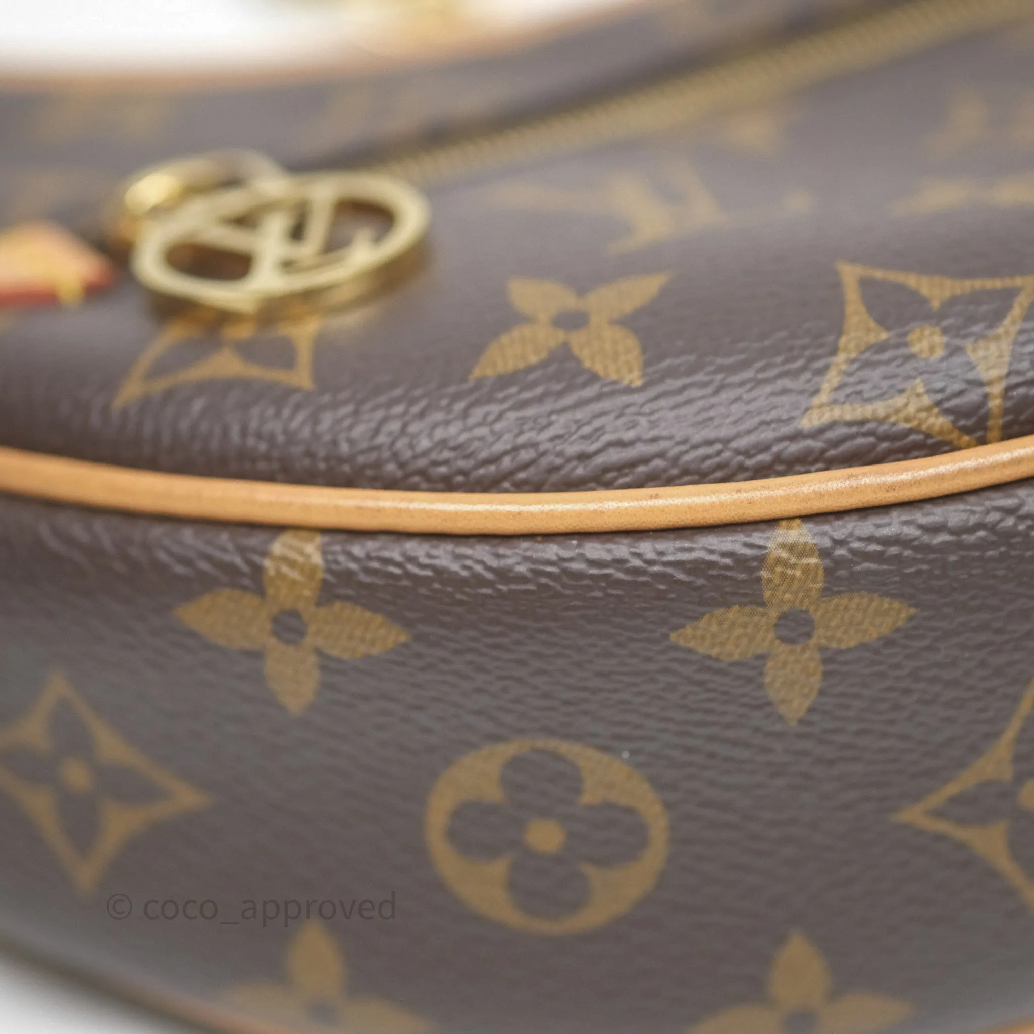 Louis Vuitton Loop Monogram Canvas