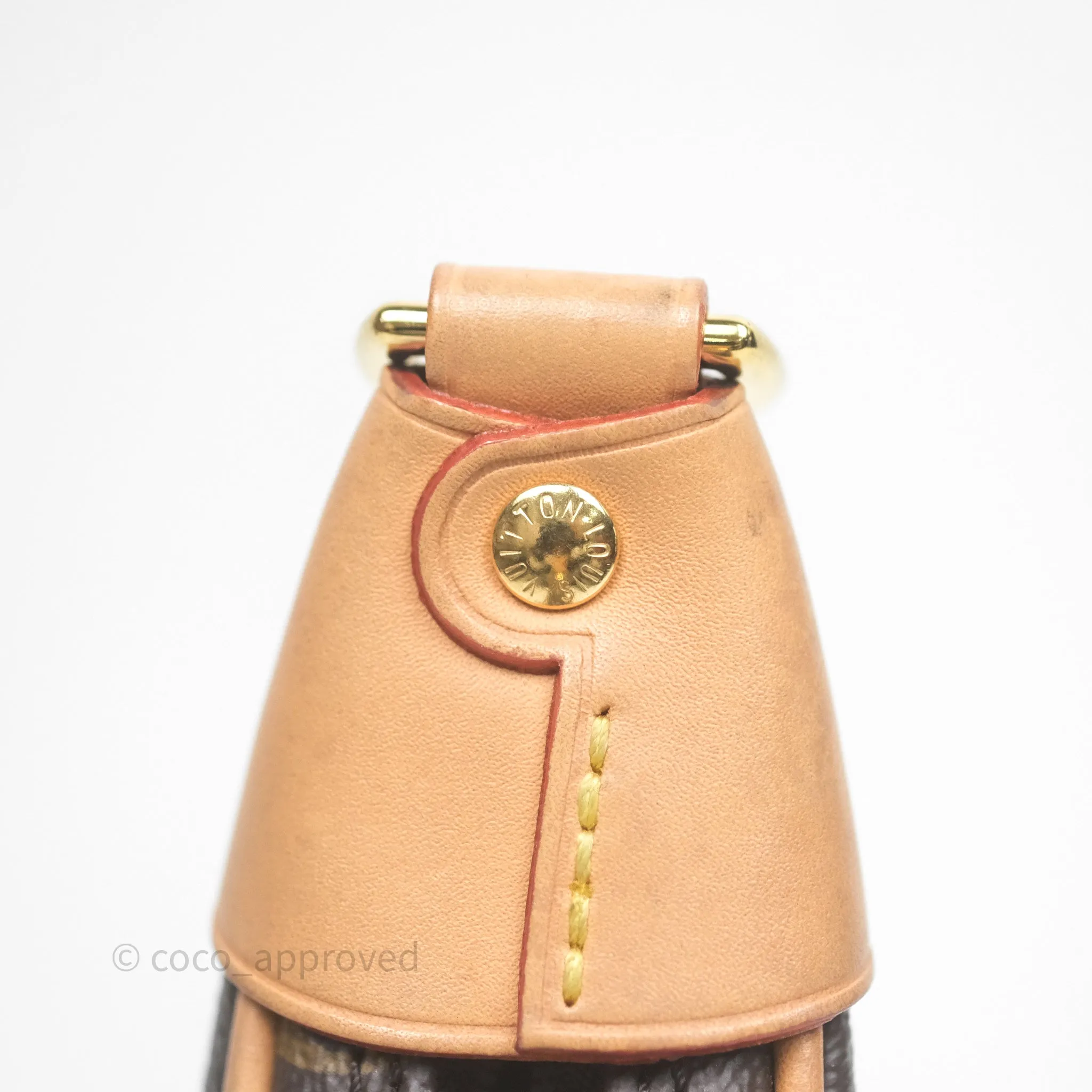 Louis Vuitton Loop Monogram Canvas