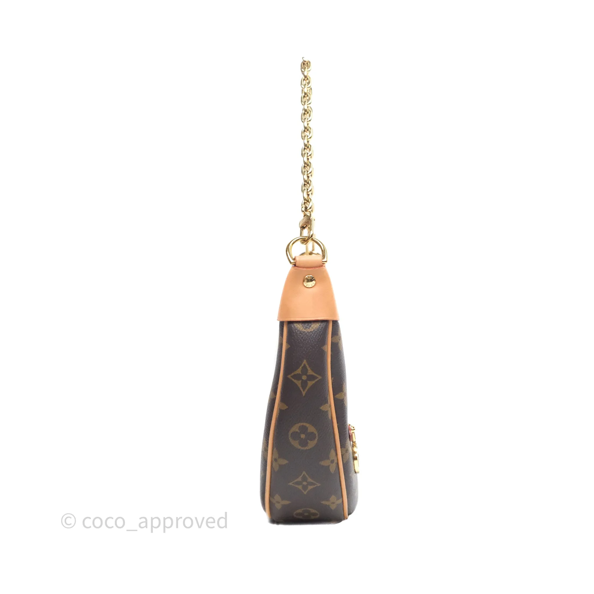 Louis Vuitton Loop Monogram Canvas