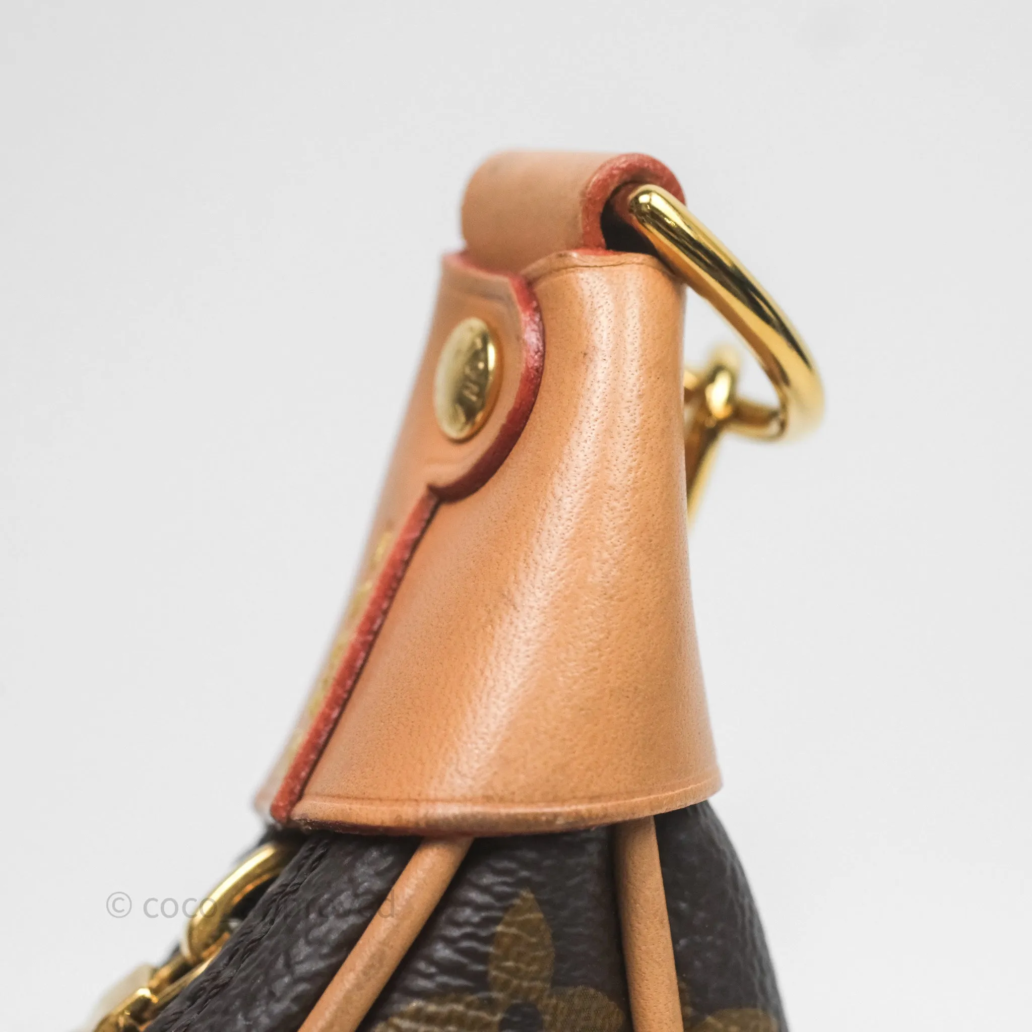 Louis Vuitton Loop Monogram Canvas
