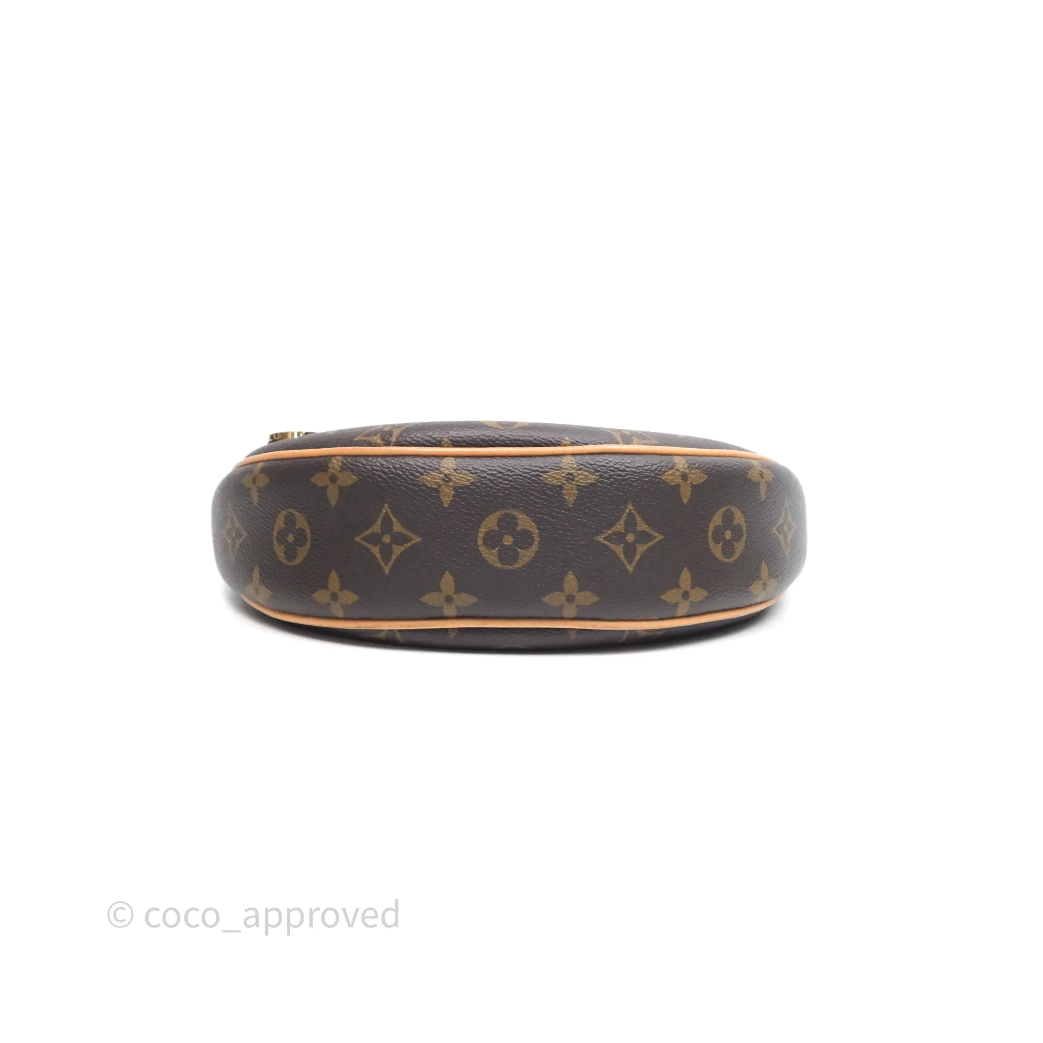 Louis Vuitton Loop Monogram Canvas