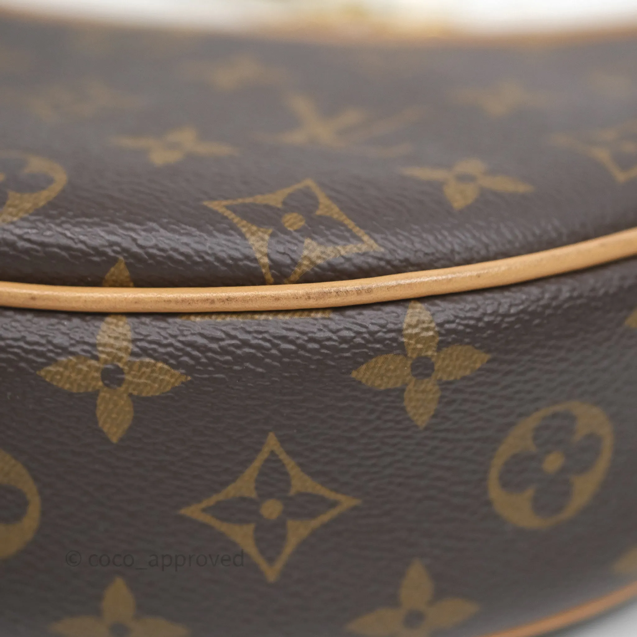 Louis Vuitton Loop Monogram Canvas