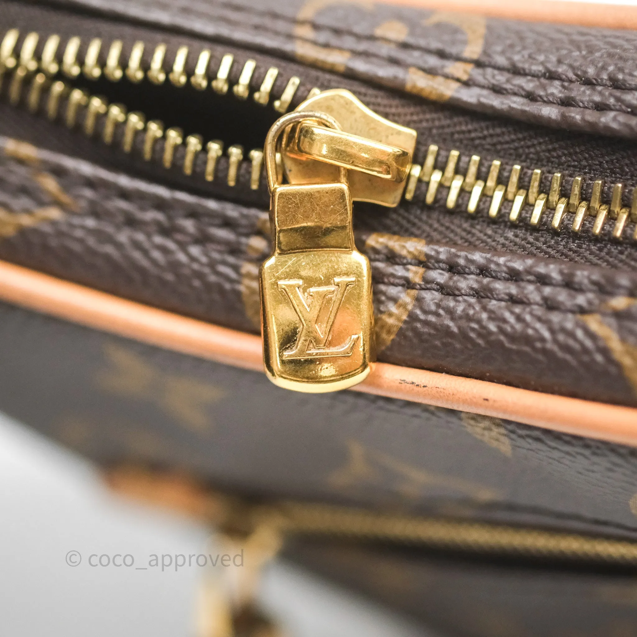 Louis Vuitton Loop Monogram Canvas