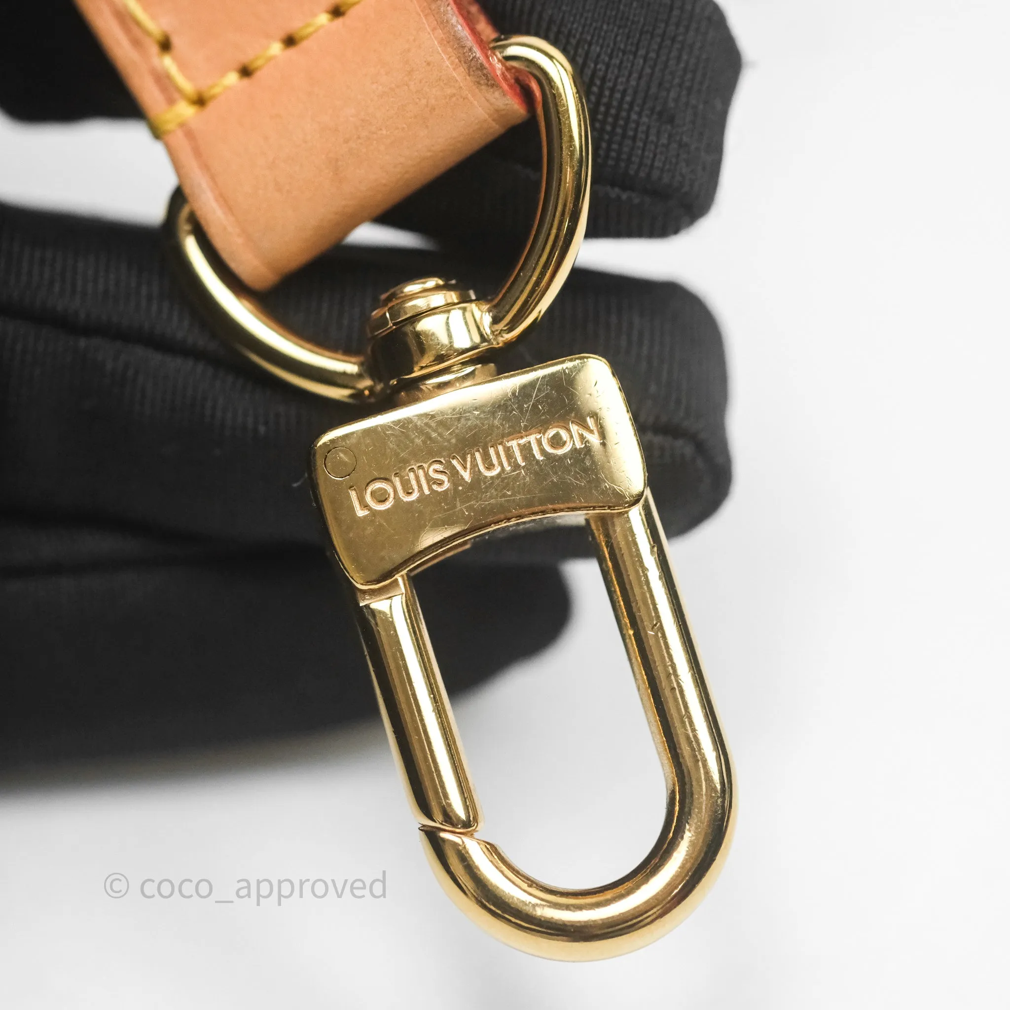 Louis Vuitton Loop Monogram Canvas