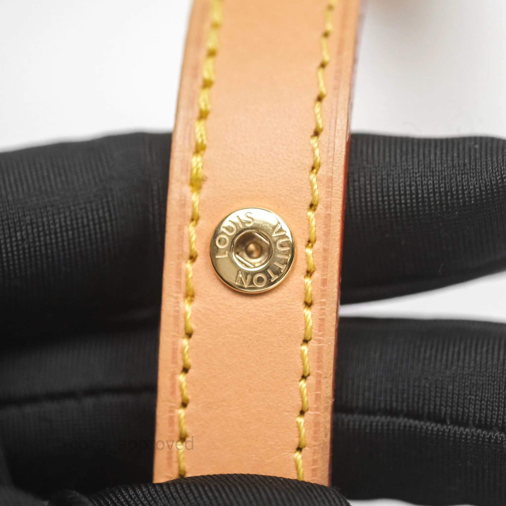 Louis Vuitton Loop Monogram Canvas
