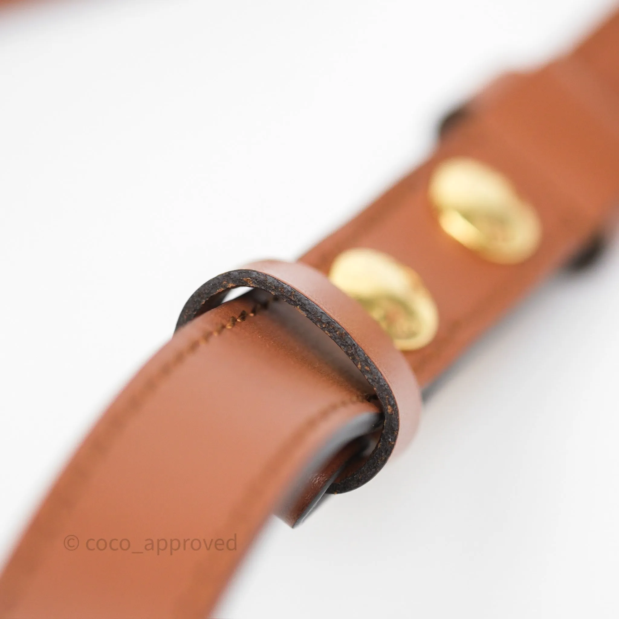 Louis Vuitton Mini Dauphine Monogram Tan Calfskin