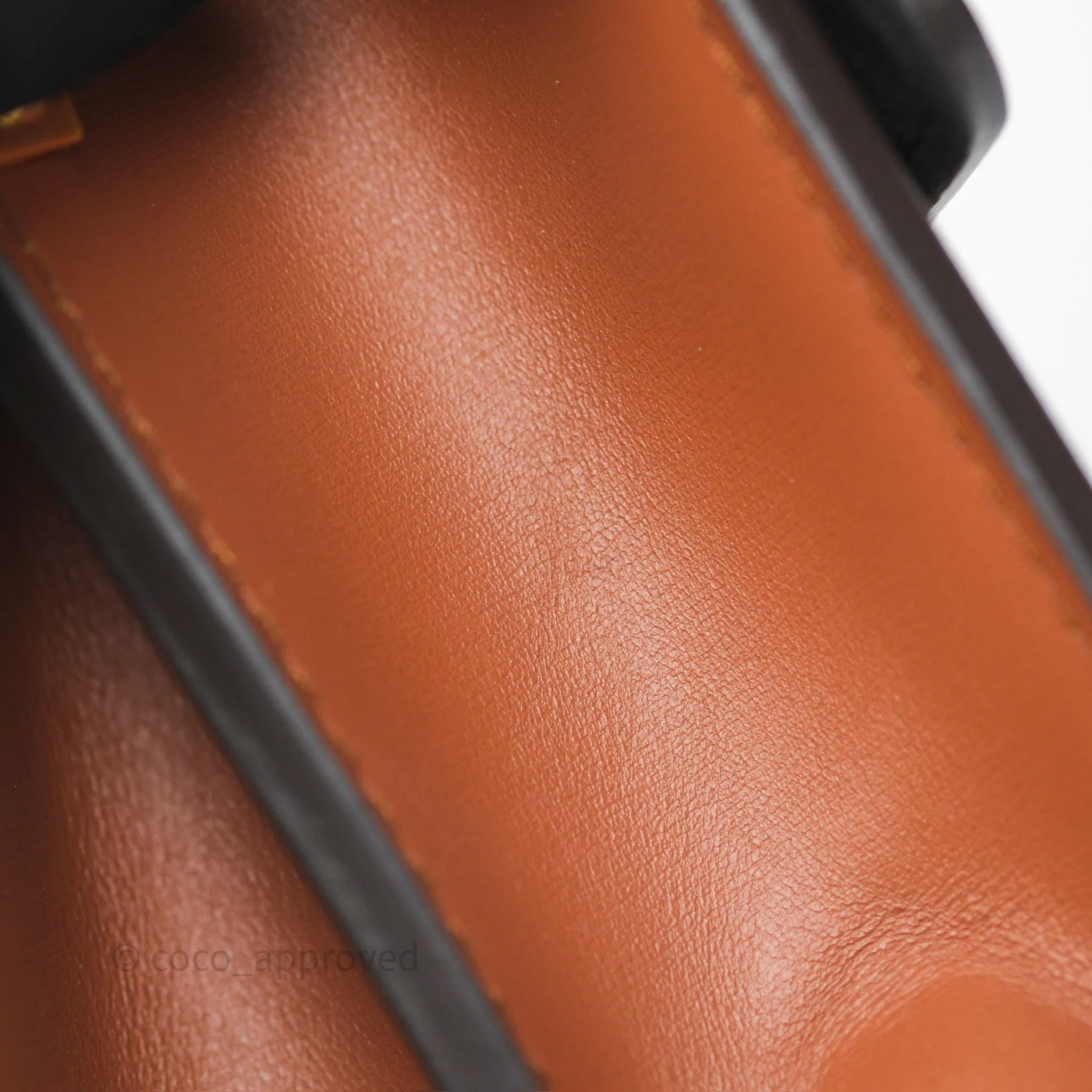 Louis Vuitton Mini Dauphine Monogram Tan Calfskin