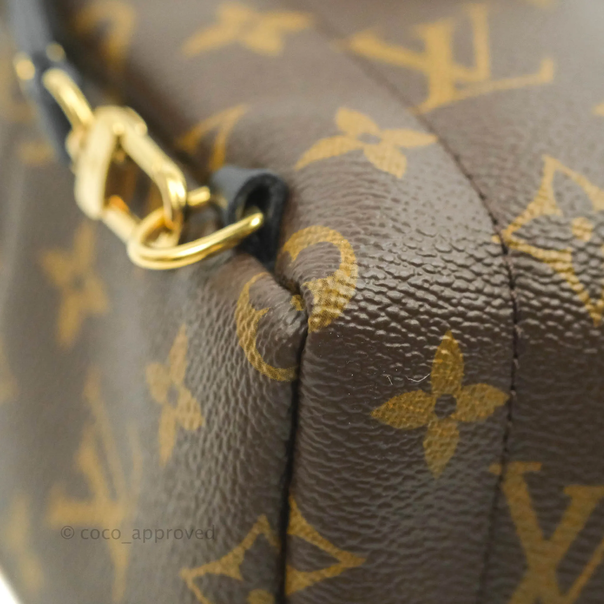 Louis Vuitton Mini Palm Springs Monogram Backpack