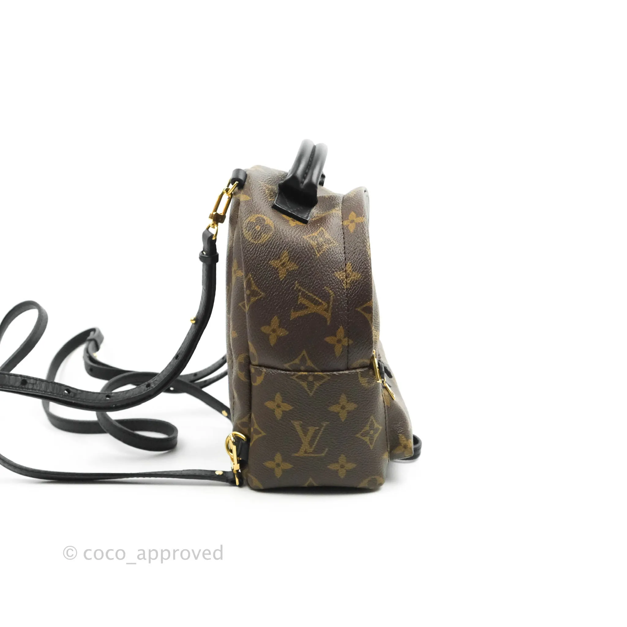 Louis Vuitton Mini Palm Springs Monogram Backpack