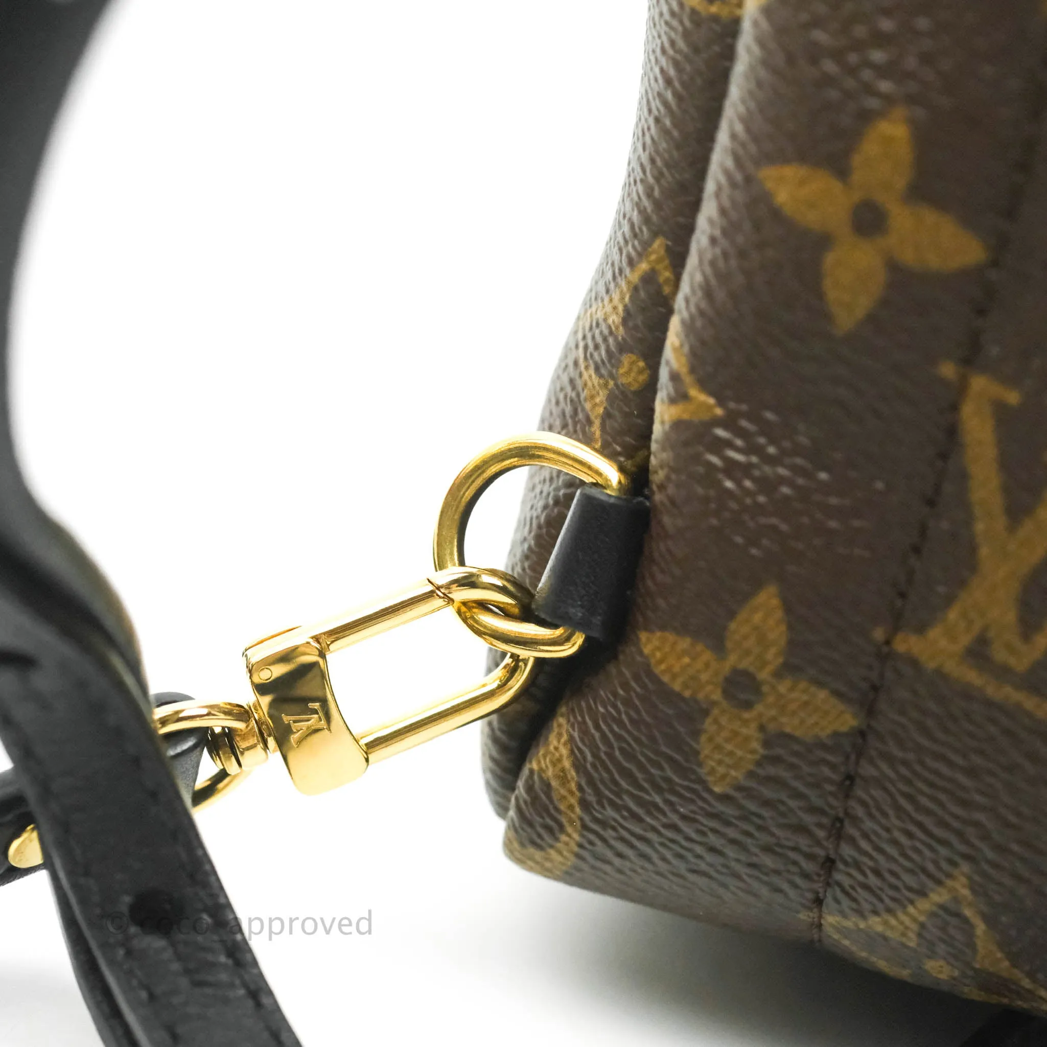 Louis Vuitton Mini Palm Springs Monogram Backpack