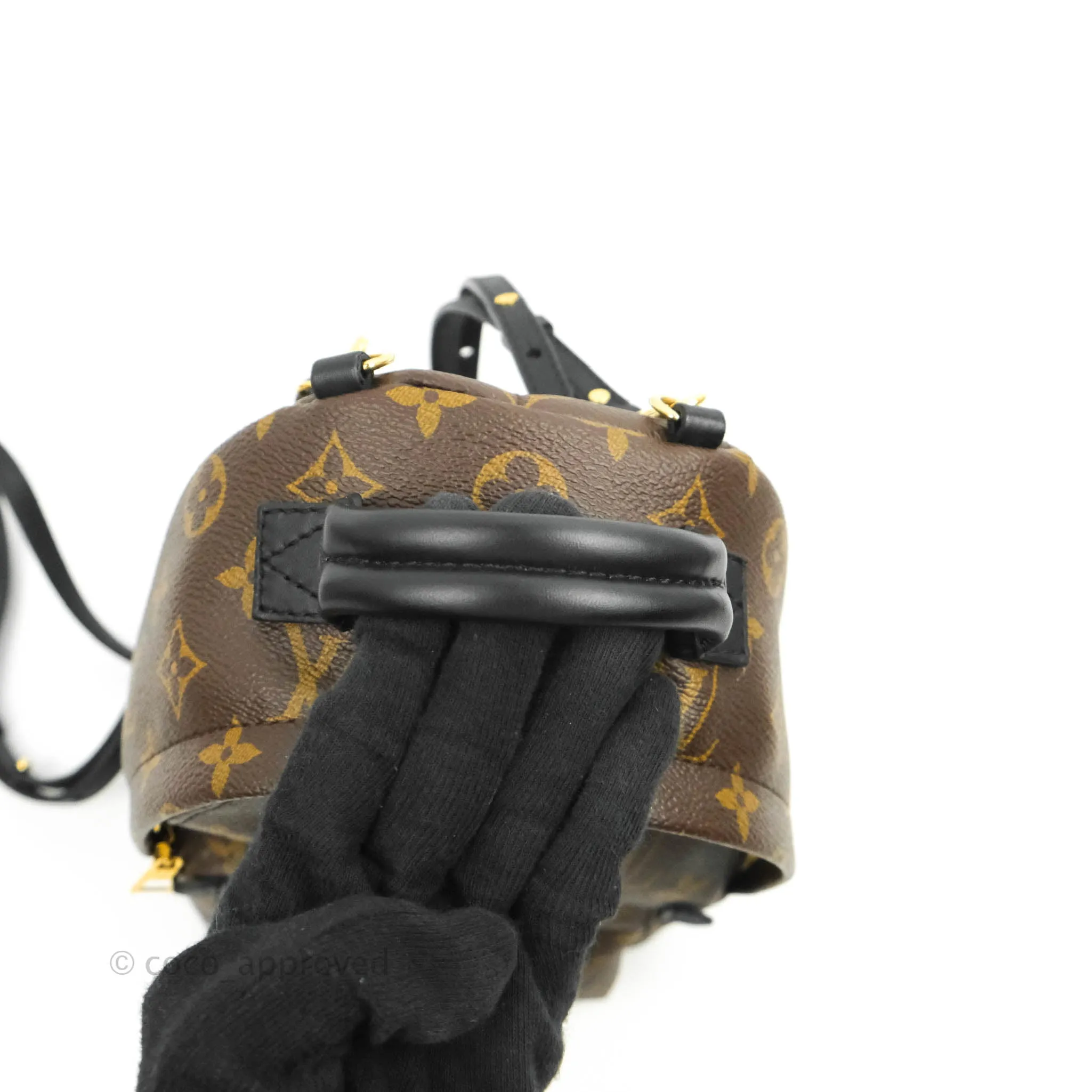 Louis Vuitton Mini Palm Springs Monogram Backpack
