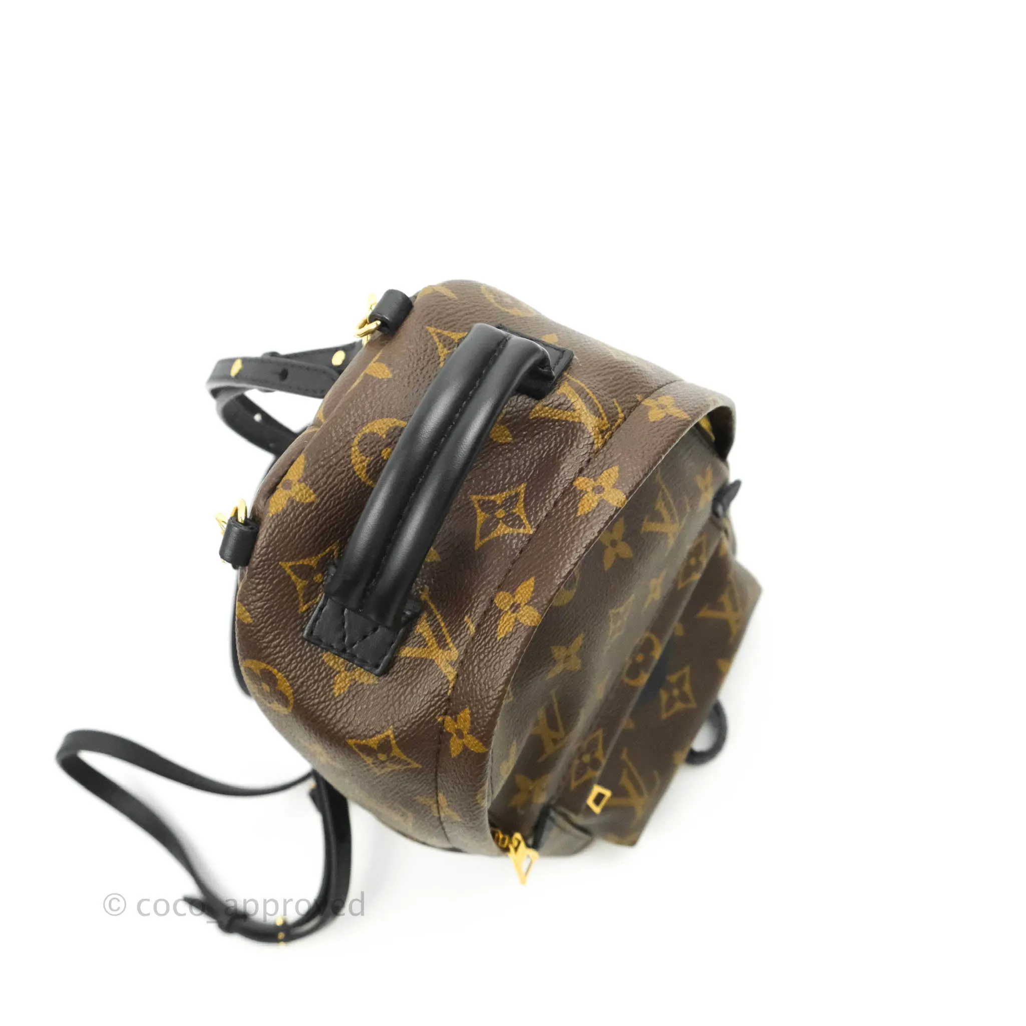 Louis Vuitton Mini Palm Springs Monogram Backpack