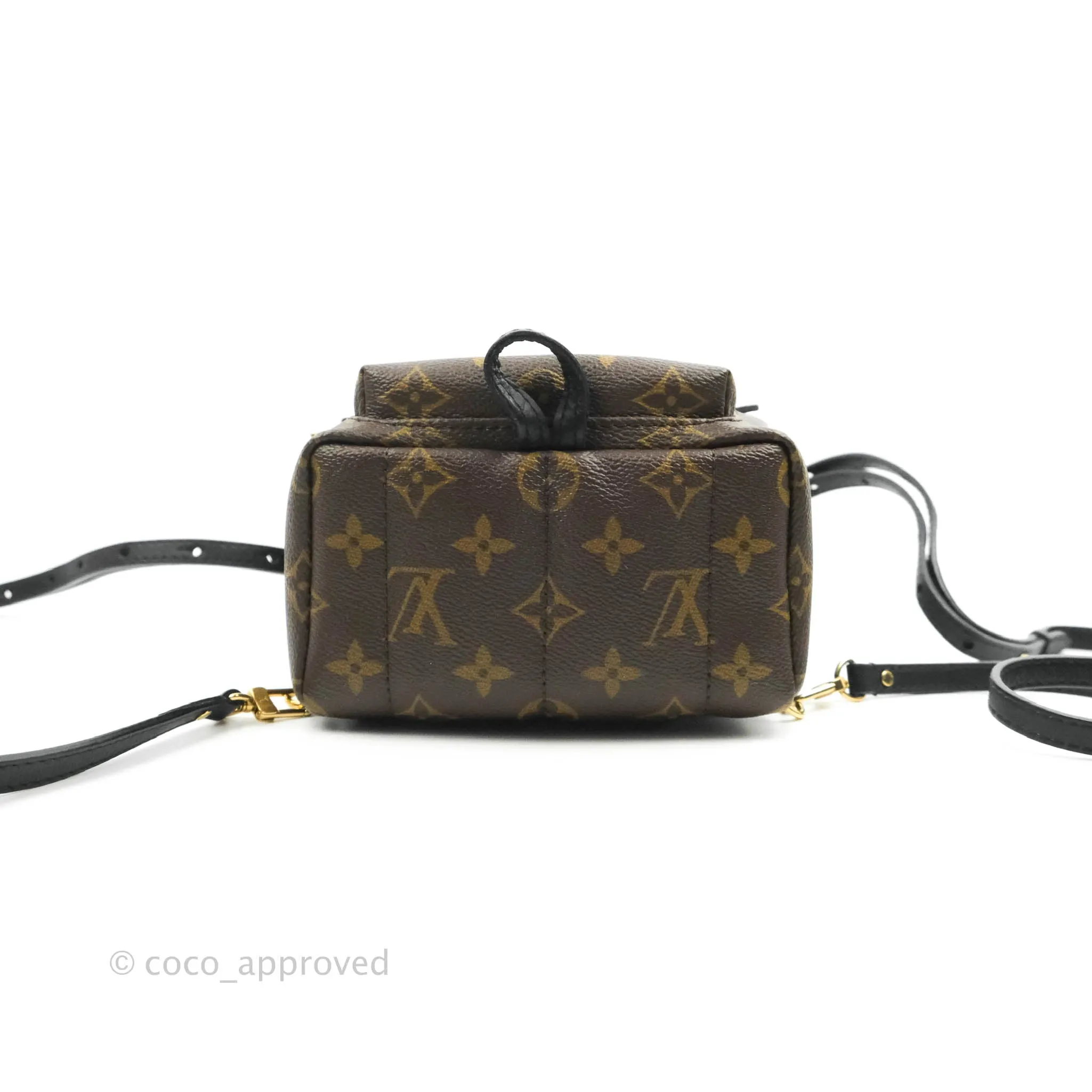 Louis Vuitton Mini Palm Springs Monogram Backpack