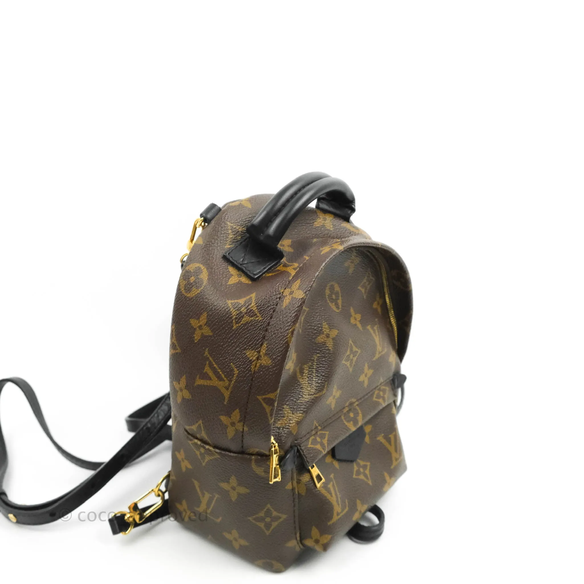 Louis Vuitton Mini Palm Springs Monogram Backpack