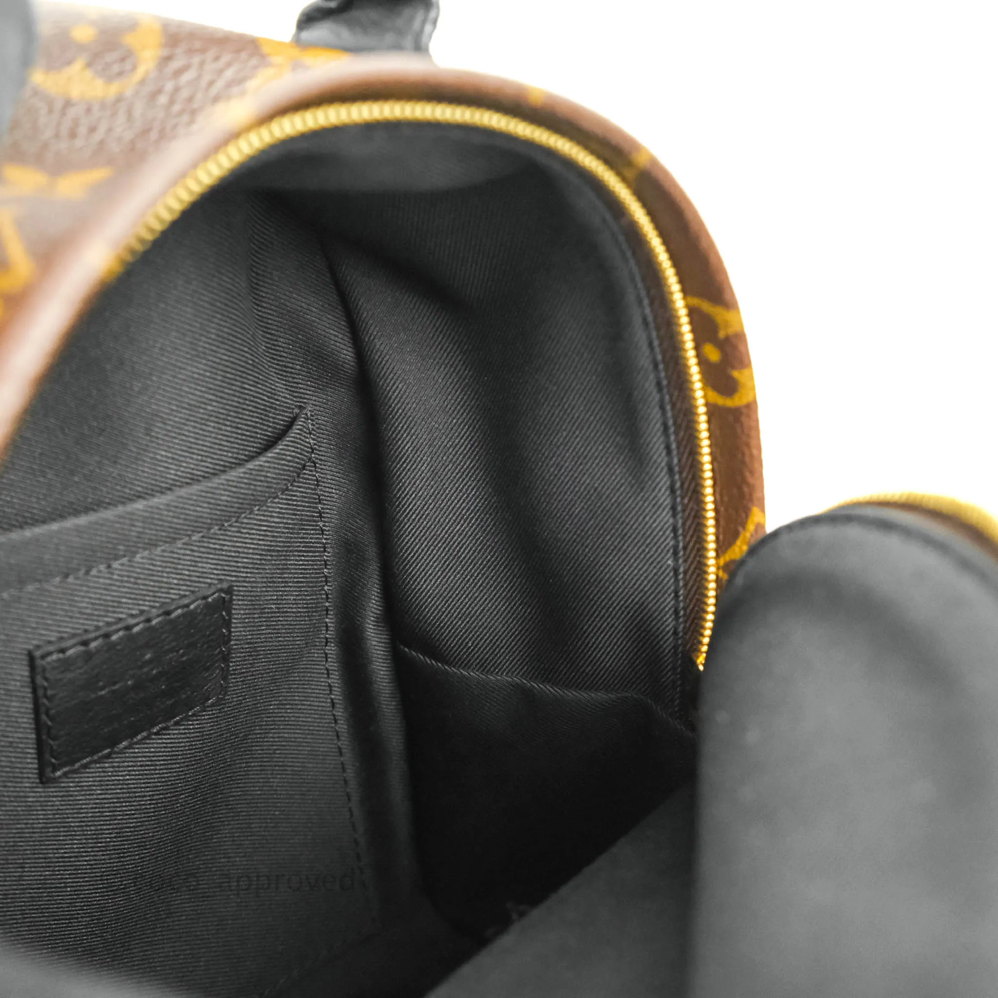 Louis Vuitton Mini Palm Springs Monogram Backpack