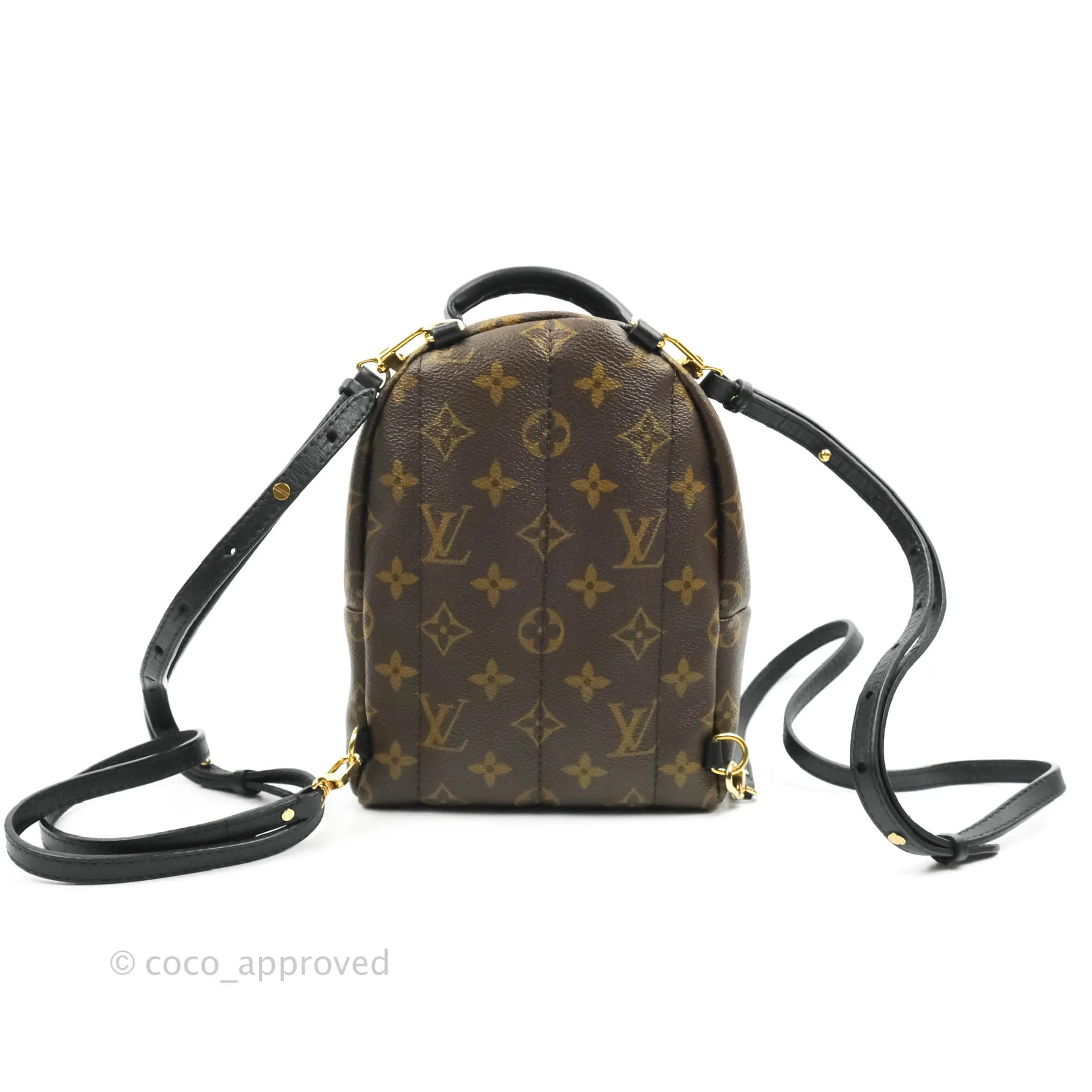 Louis Vuitton Mini Palm Springs Monogram Backpack