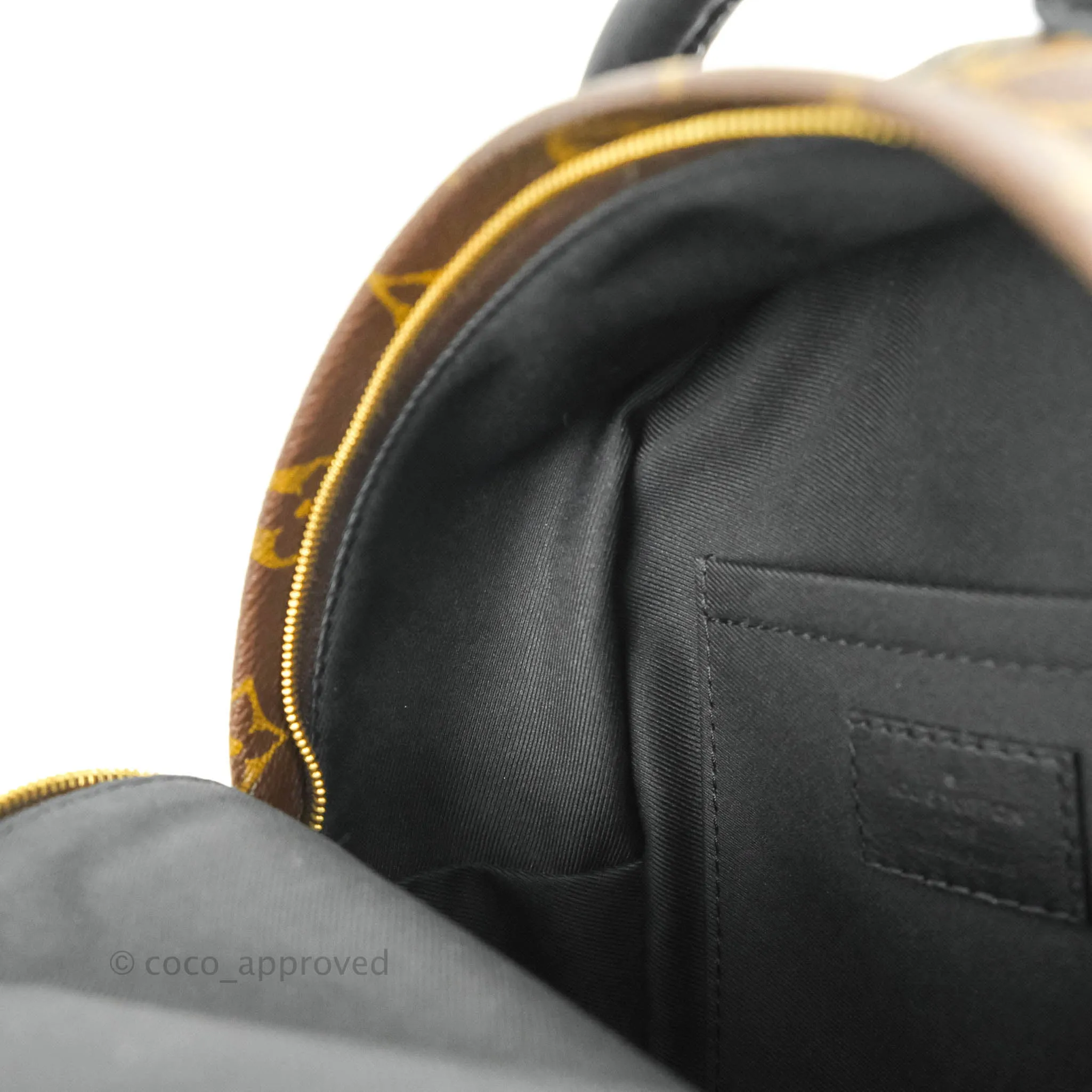 Louis Vuitton Mini Palm Springs Monogram Backpack