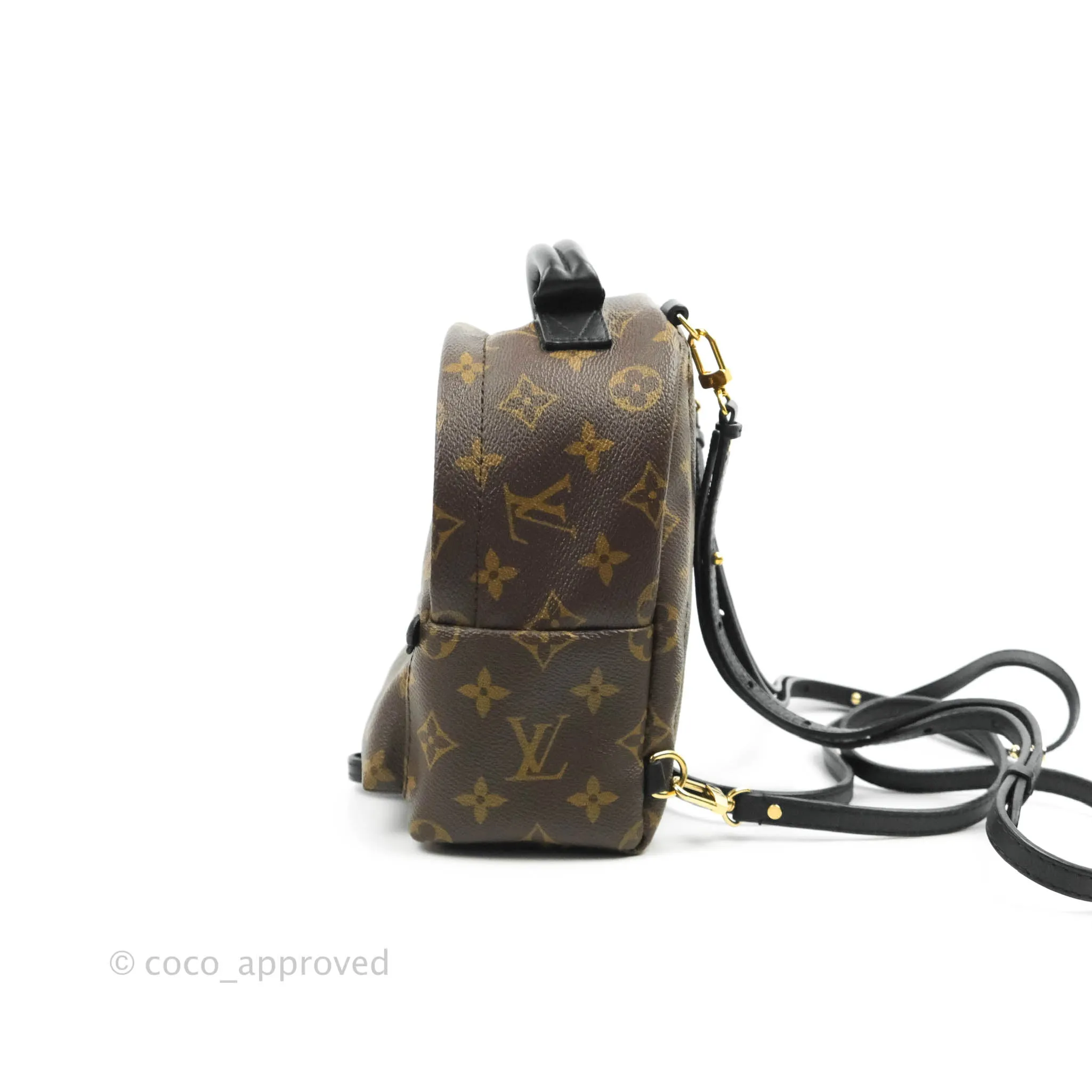 Louis Vuitton Mini Palm Springs Monogram Backpack
