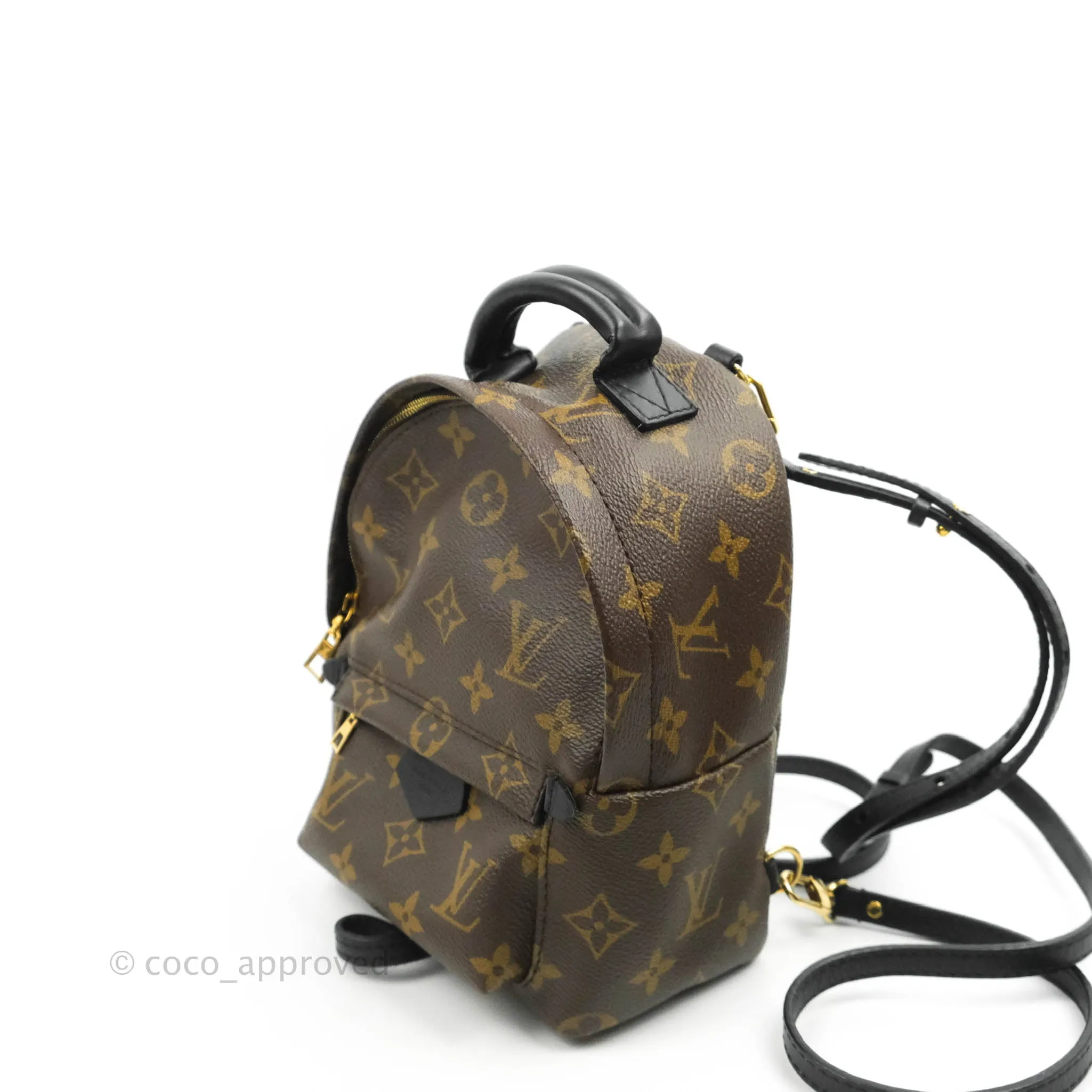 Louis Vuitton Mini Palm Springs Monogram Backpack