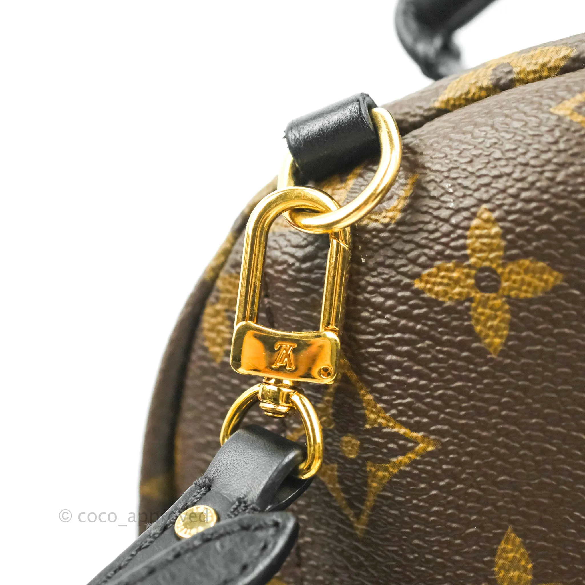 Louis Vuitton Mini Palm Springs Monogram Backpack