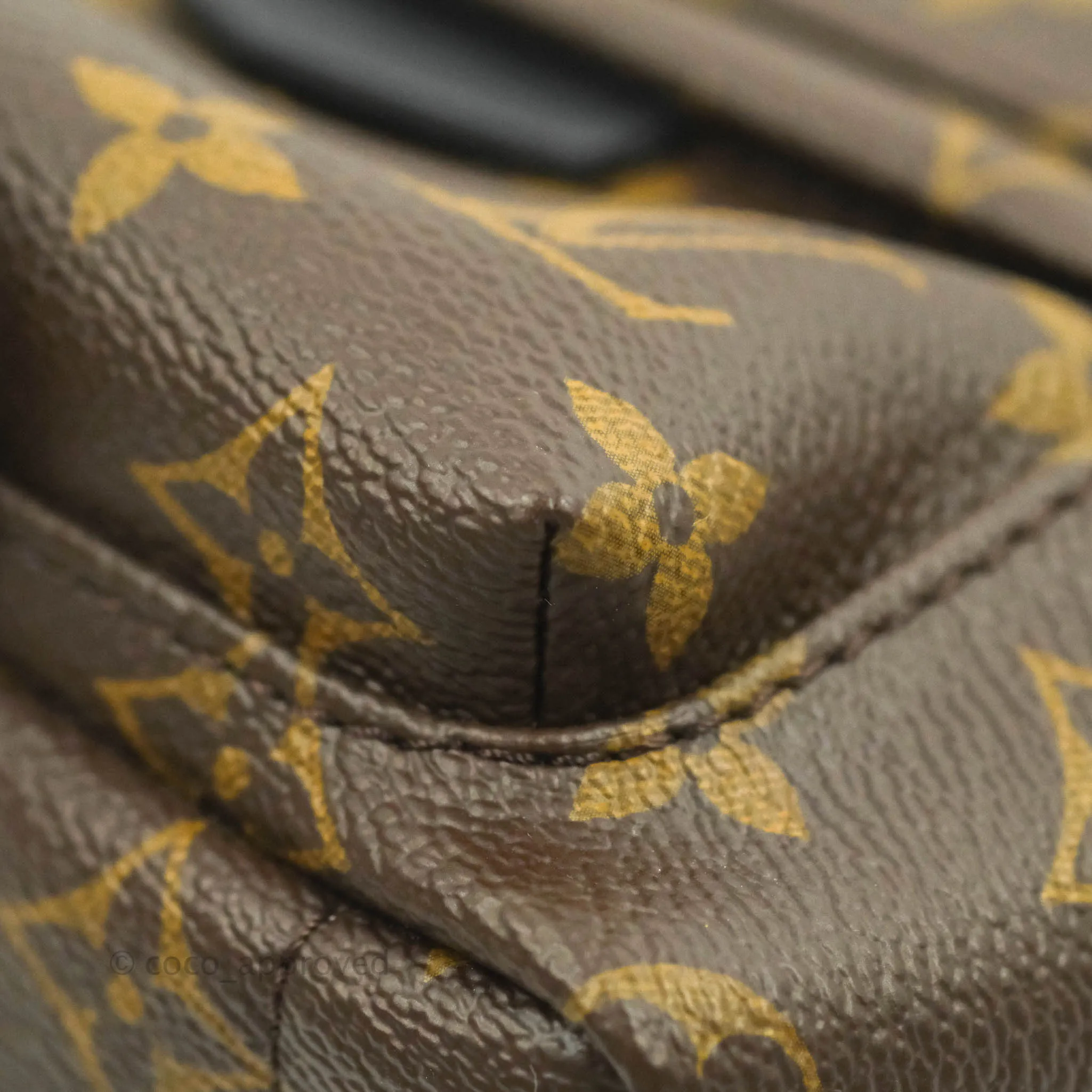 Louis Vuitton Mini Palm Springs Monogram Backpack