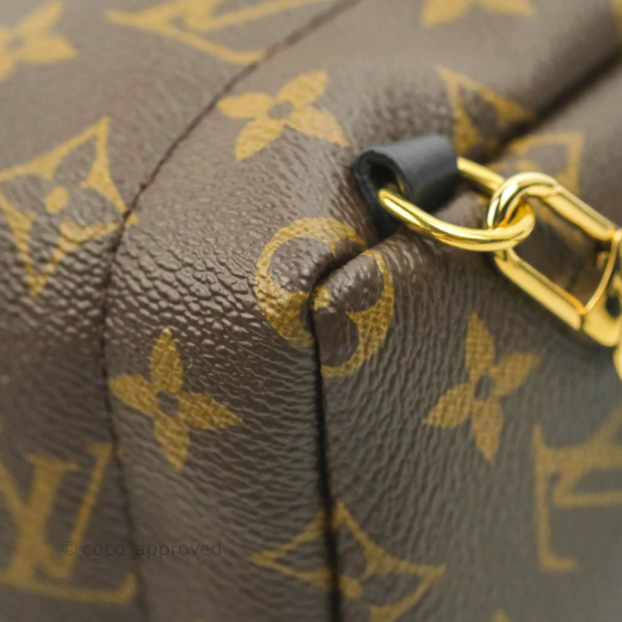 Louis Vuitton Mini Palm Springs Monogram Backpack
