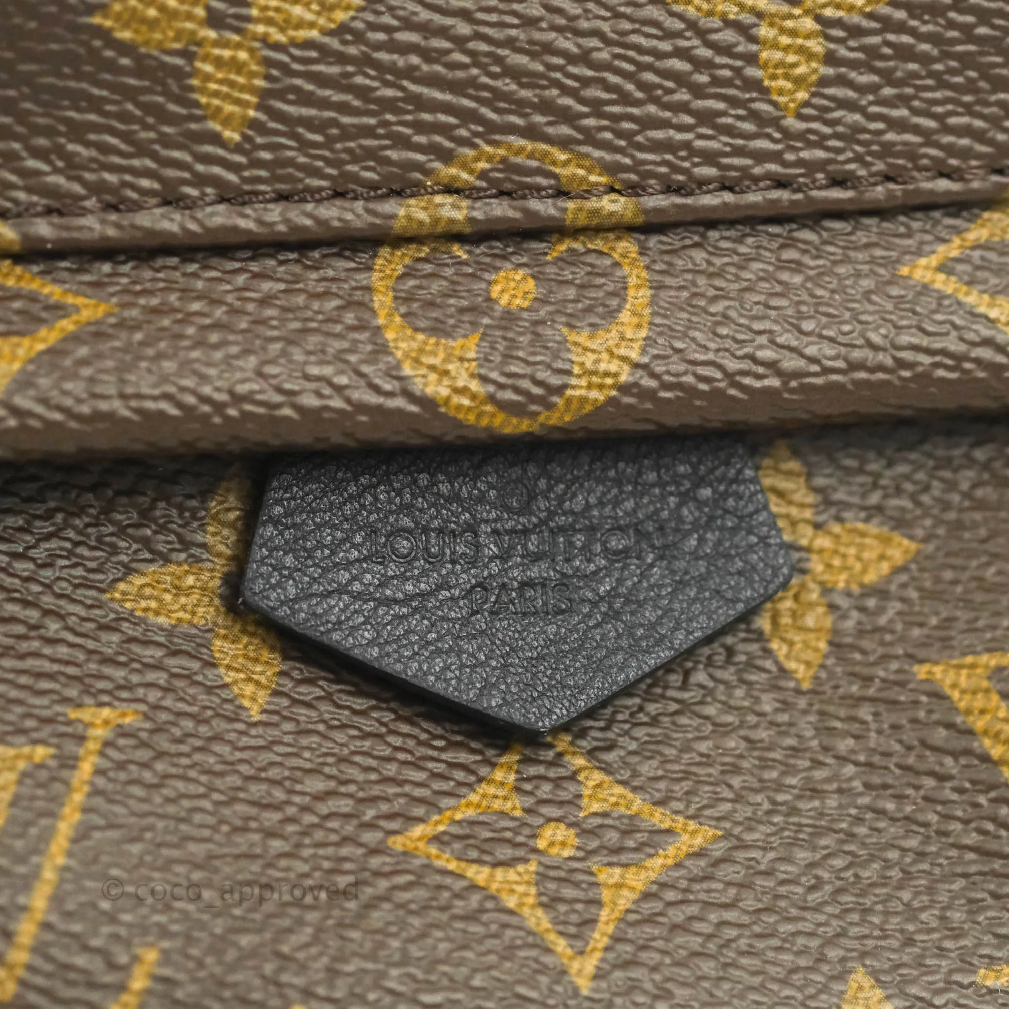 Louis Vuitton Mini Palm Springs Monogram Backpack