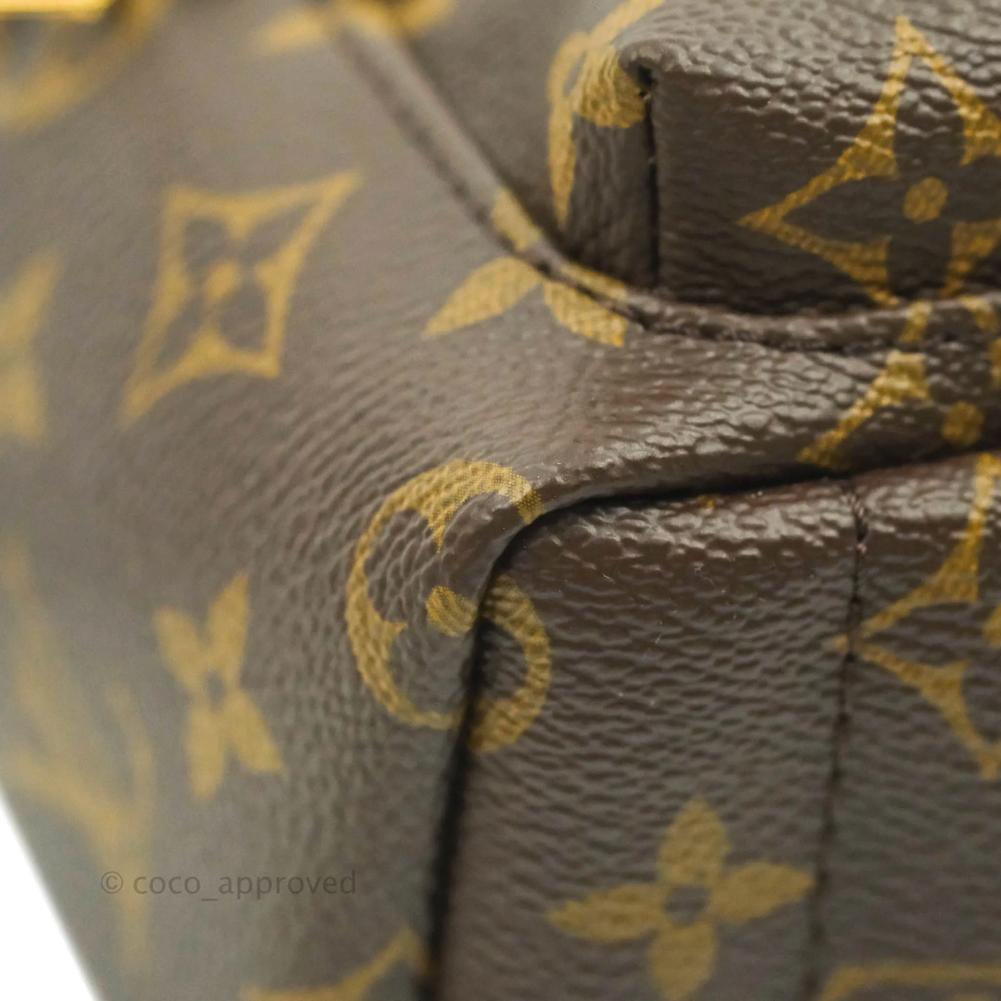 Louis Vuitton Mini Palm Springs Monogram Backpack