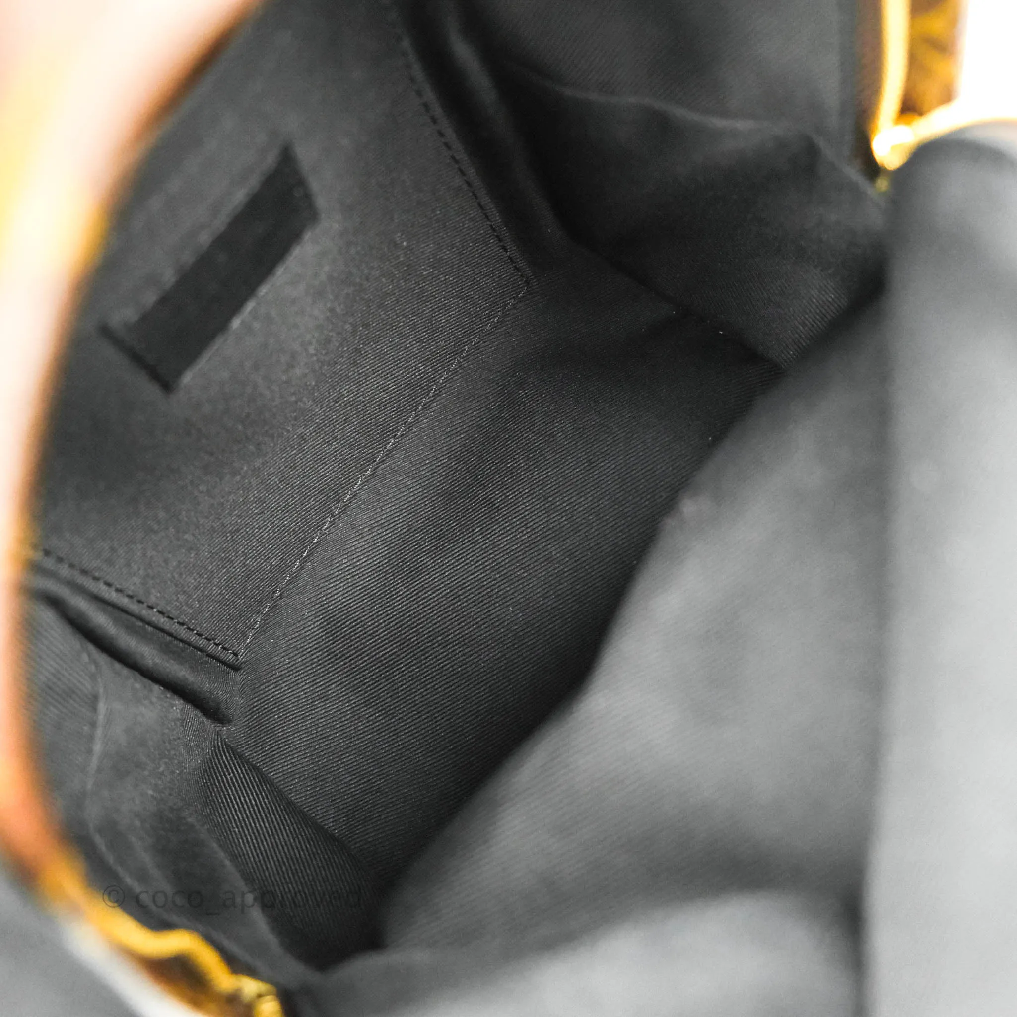 Louis Vuitton Mini Palm Springs Monogram Backpack