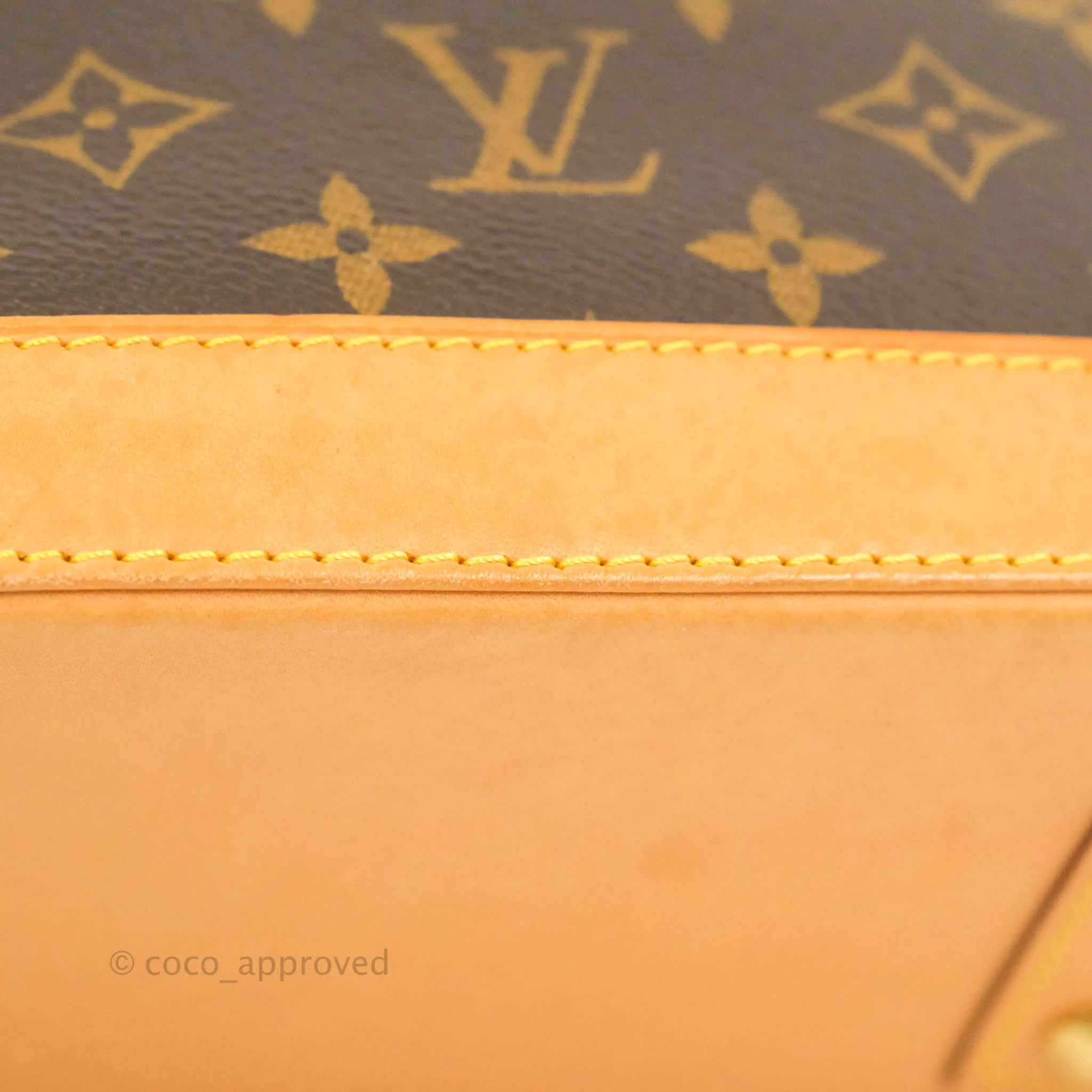 Louis Vuitton Monogram Alma BB