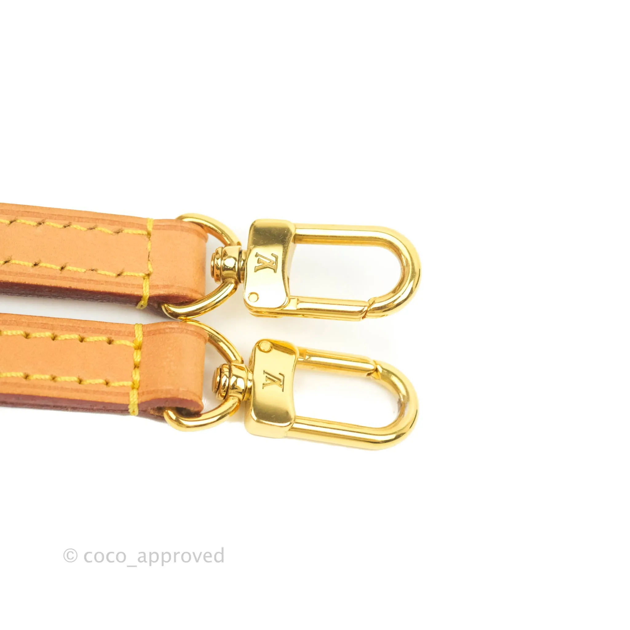 Louis Vuitton Monogram Alma BB