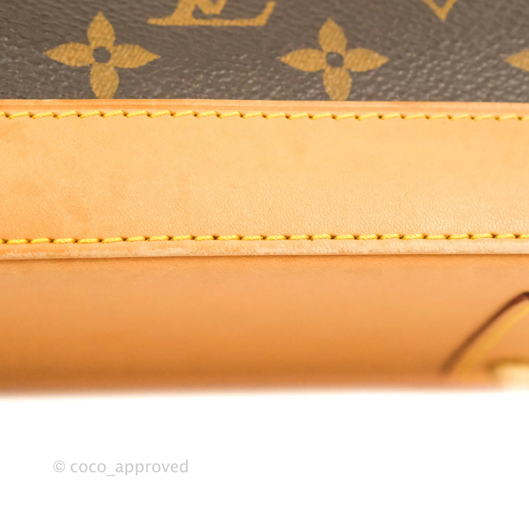 Louis Vuitton Monogram Alma BB
