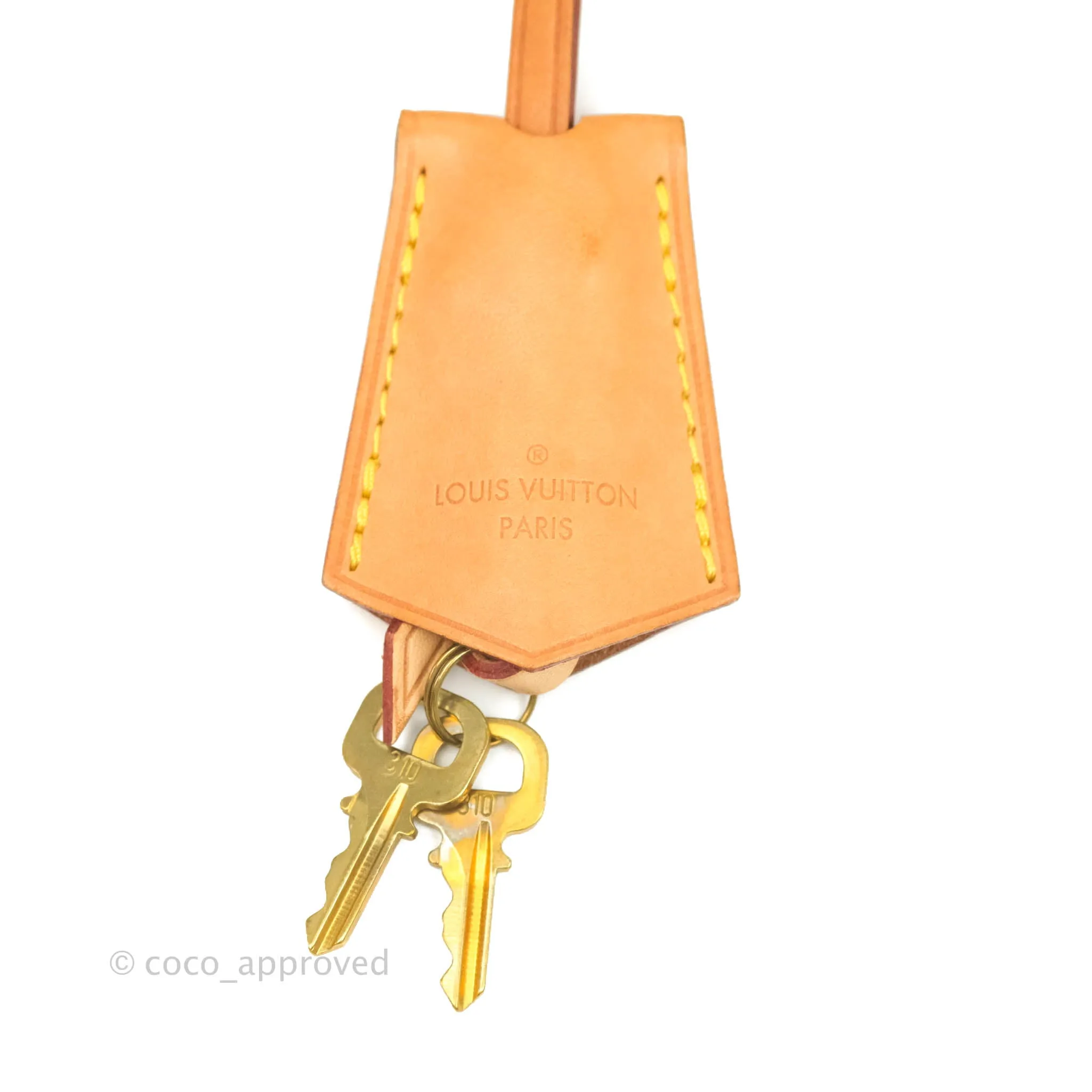 Louis Vuitton Monogram Alma BB