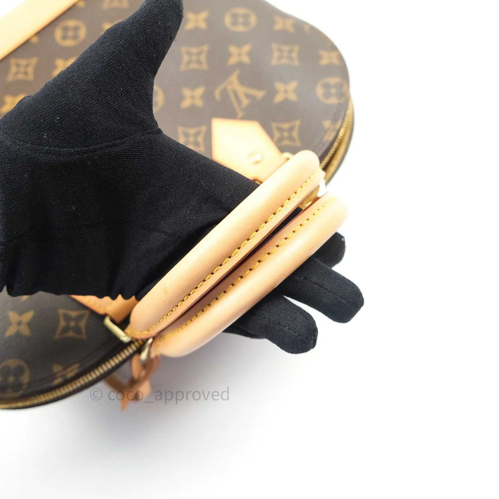 Louis Vuitton Monogram Alma PM
