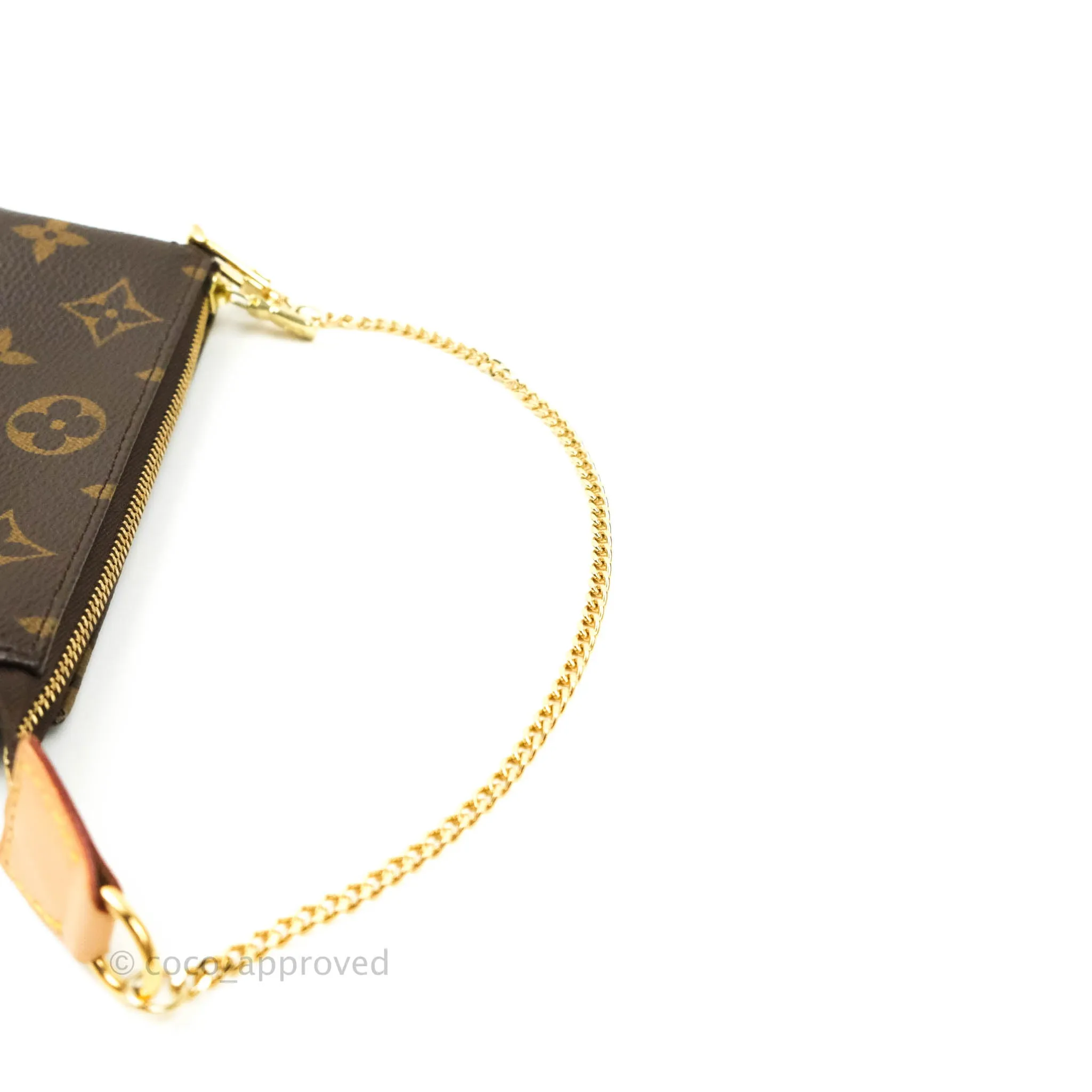 Louis Vuitton Monogram Canvas Mini Pochette Accessories