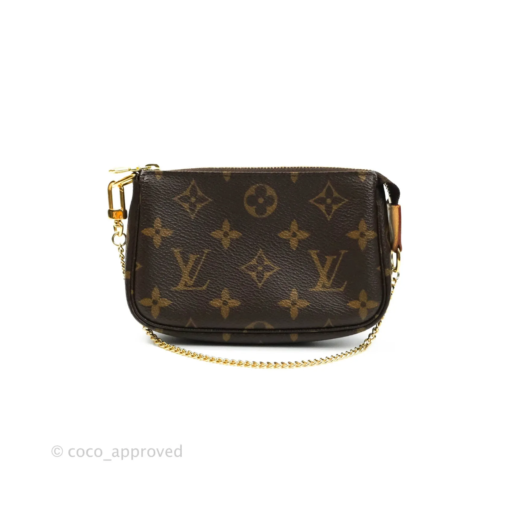 Louis Vuitton Monogram Canvas Mini Pochette Accessories