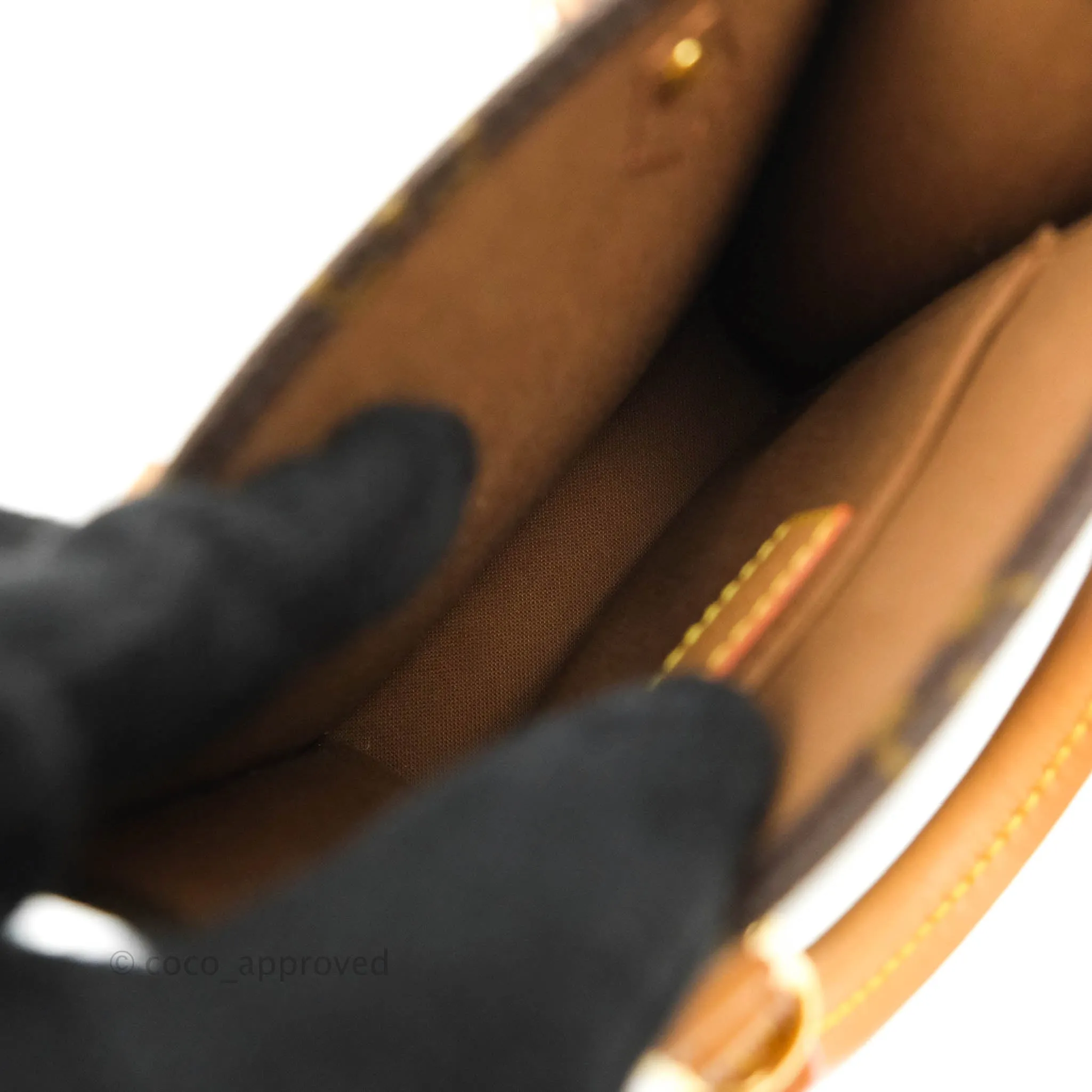 Louis Vuitton Monogram Canvas Petit Sac Plat bag