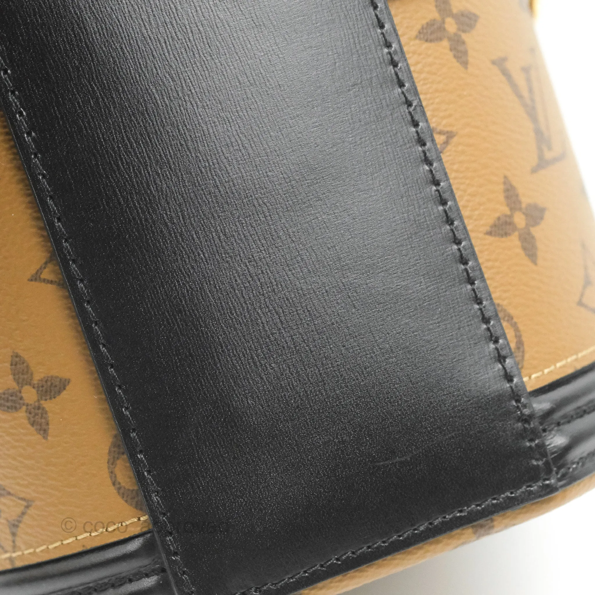Louis Vuitton Monogram Canvas Reverse Cannes Bag