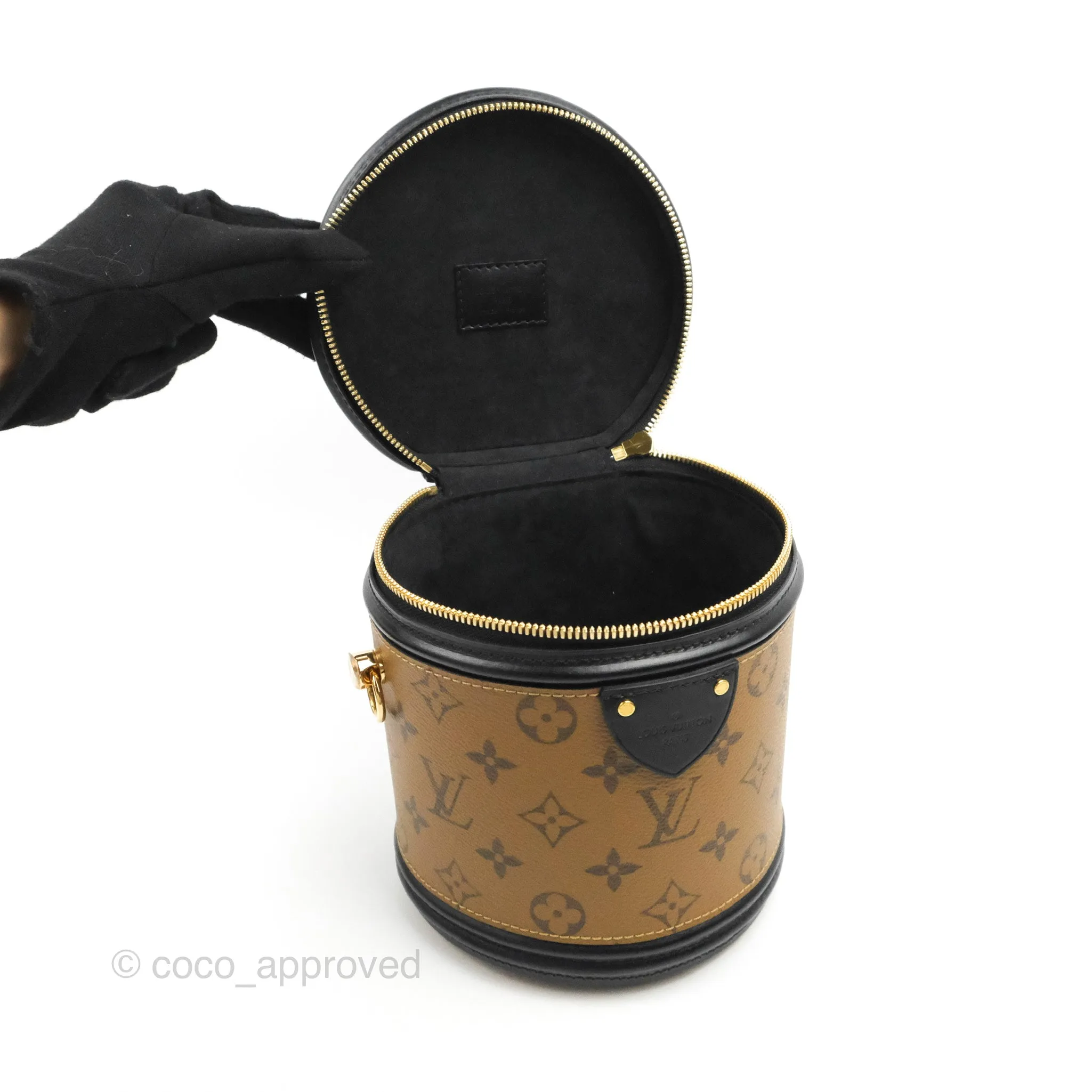 Louis Vuitton Monogram Canvas Reverse Cannes Bag