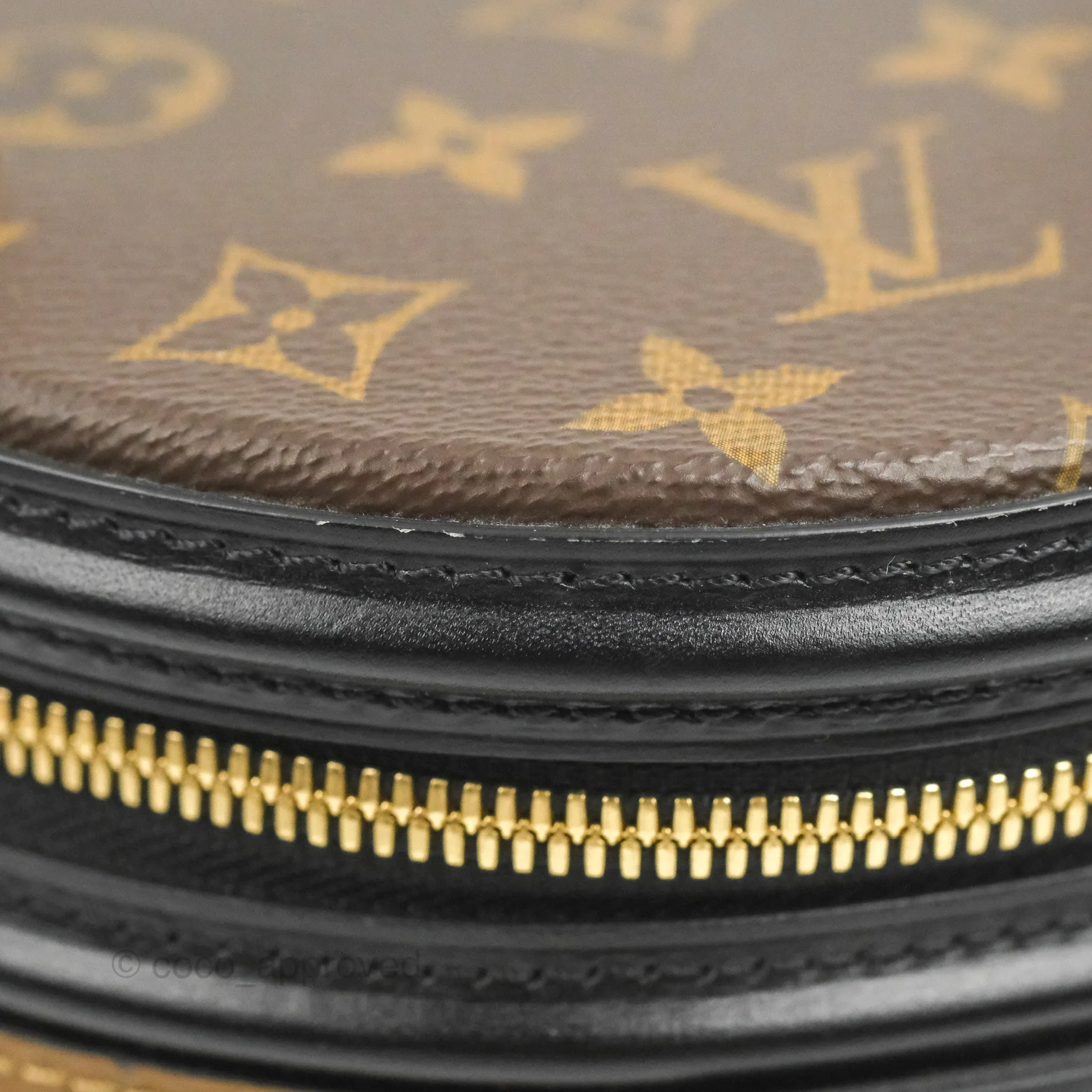 Louis Vuitton Monogram Canvas Reverse Cannes Bag