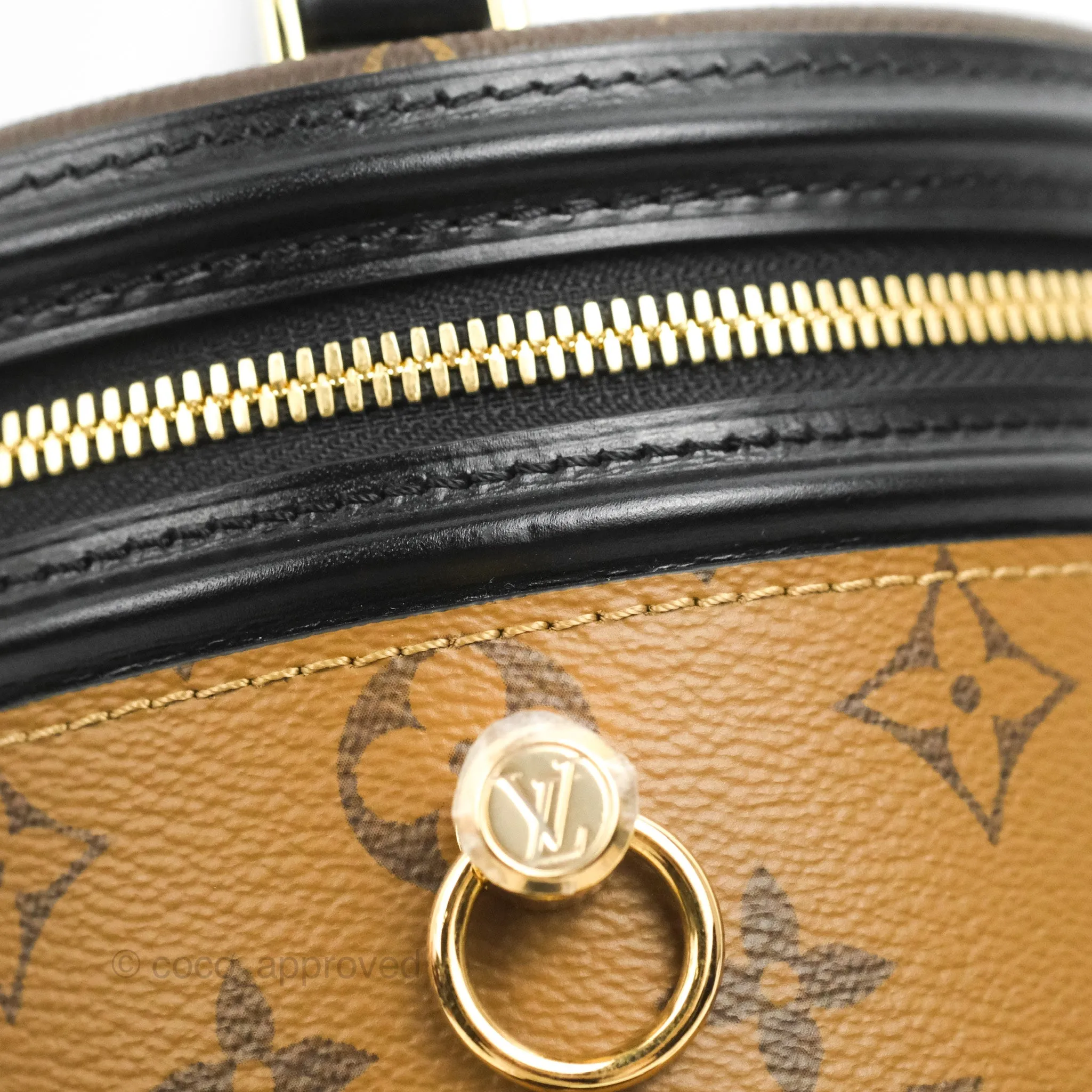 Louis Vuitton Monogram Canvas Reverse Cannes Bag