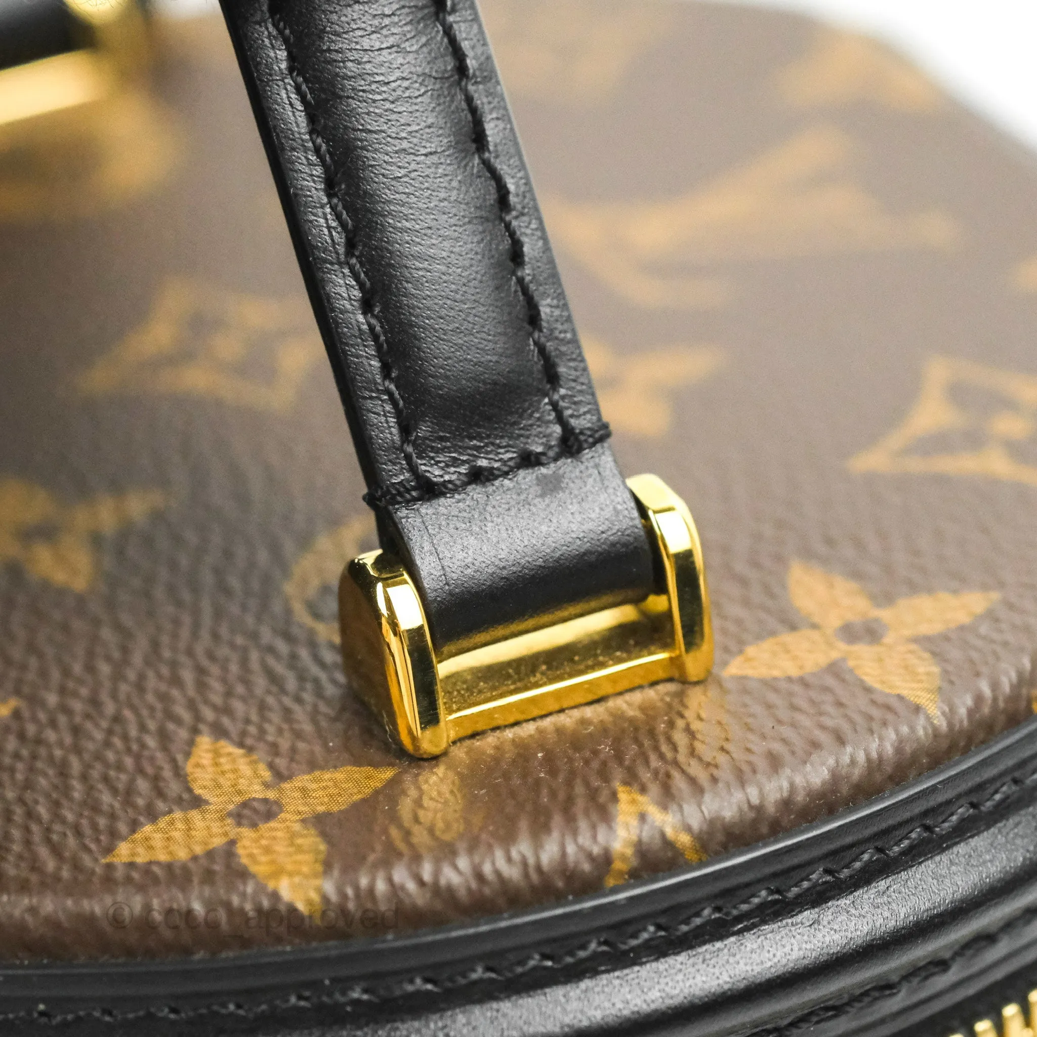 Louis Vuitton Monogram Canvas Reverse Cannes Bag