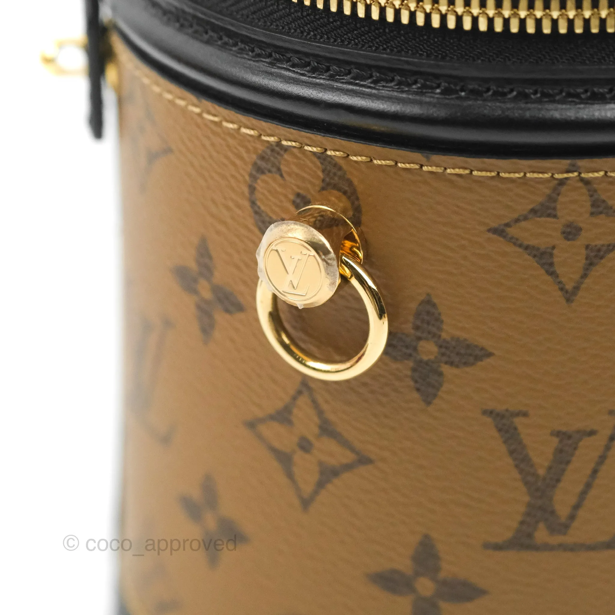 Louis Vuitton Monogram Canvas Reverse Cannes Bag