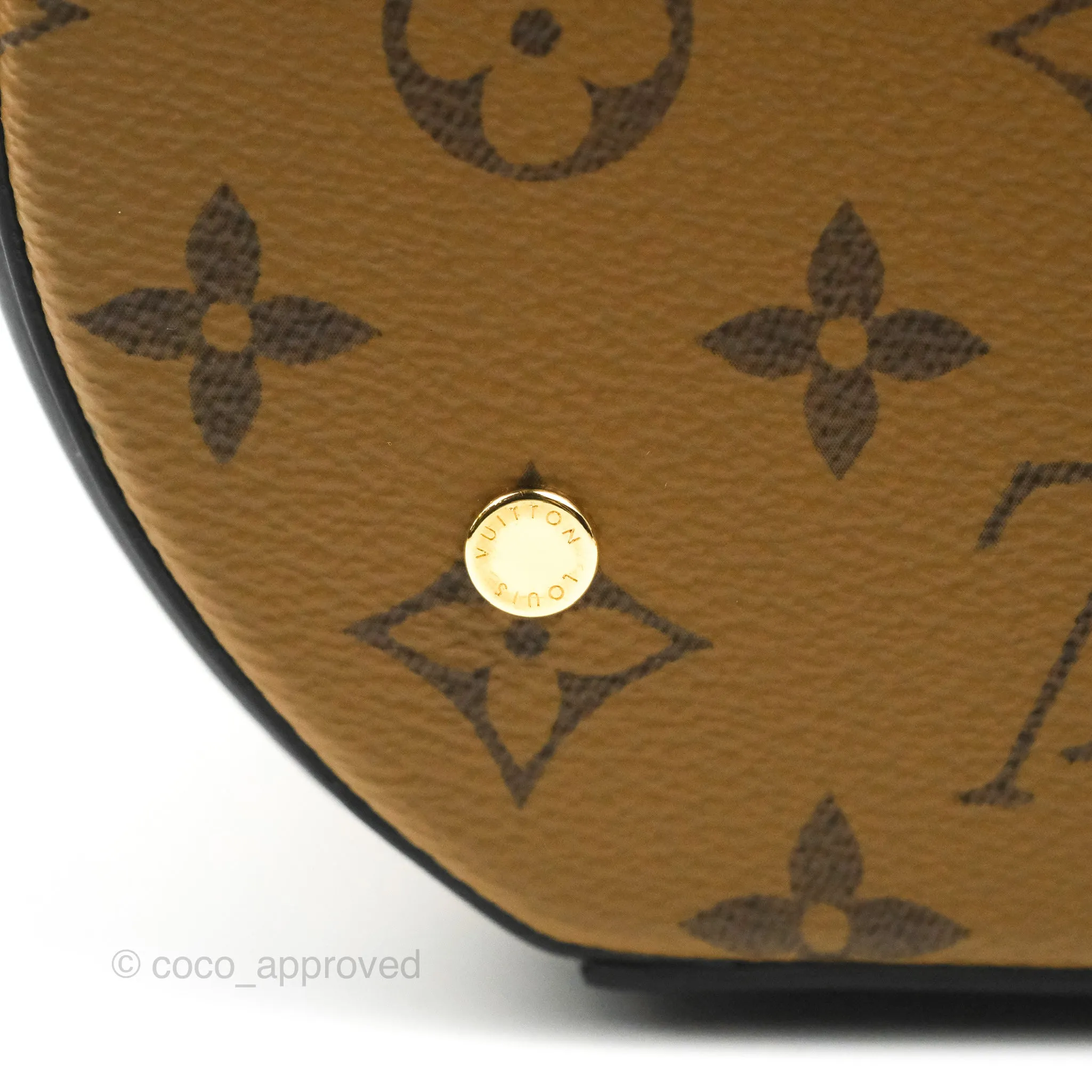 Louis Vuitton Monogram Canvas Reverse Cannes Bag